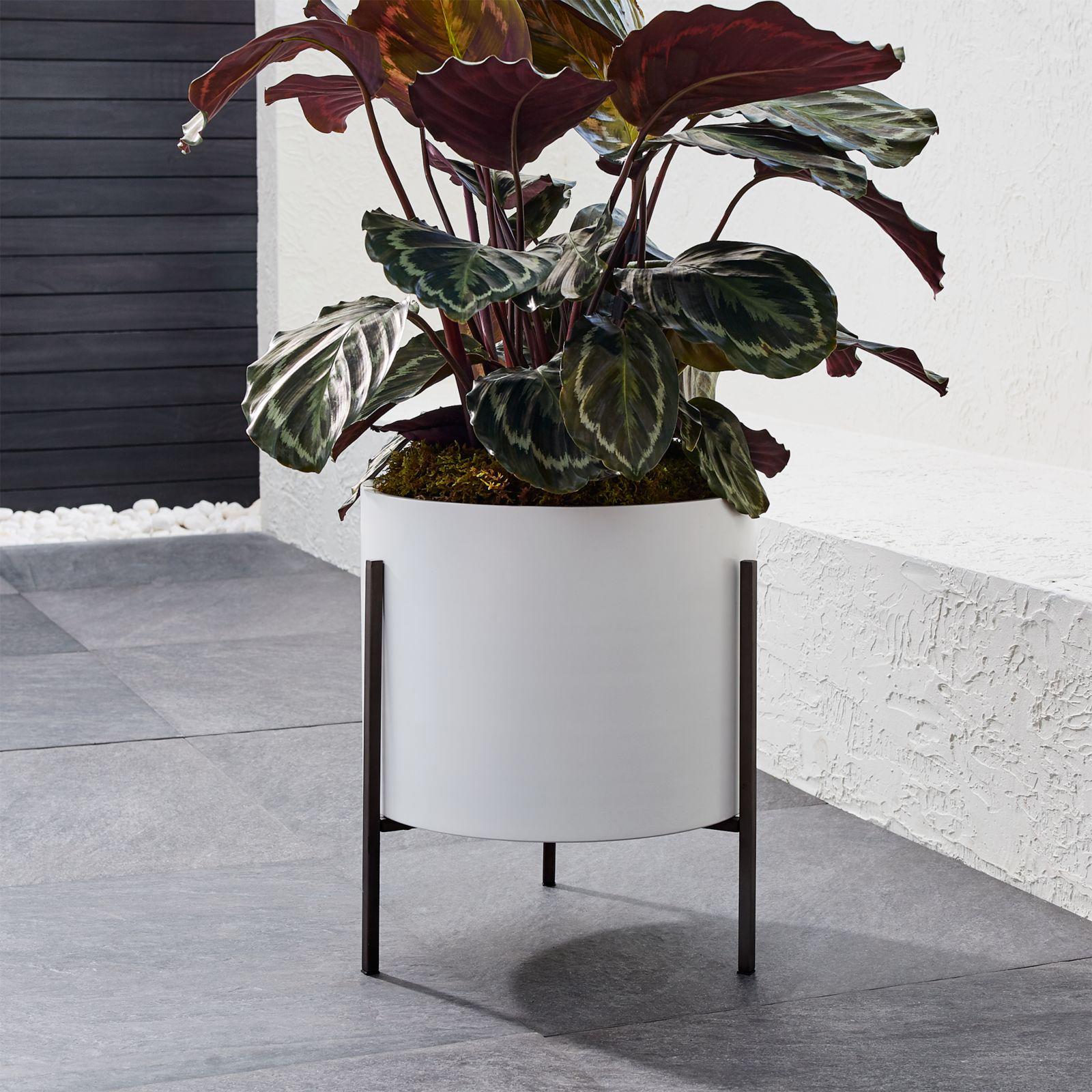 Dundee Low Planter with Stand