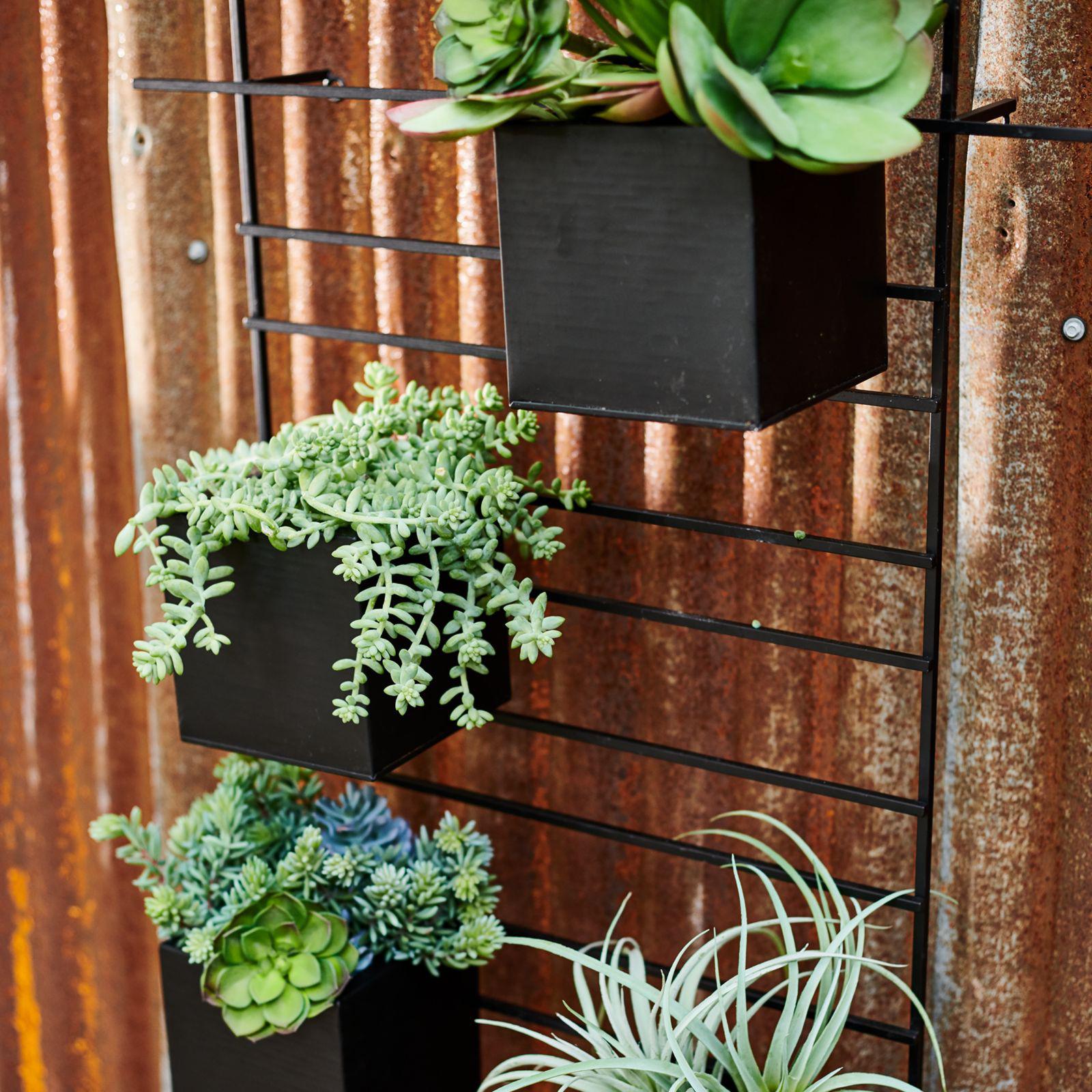 10409-4-box-wall-mounted-planter-1.jpg