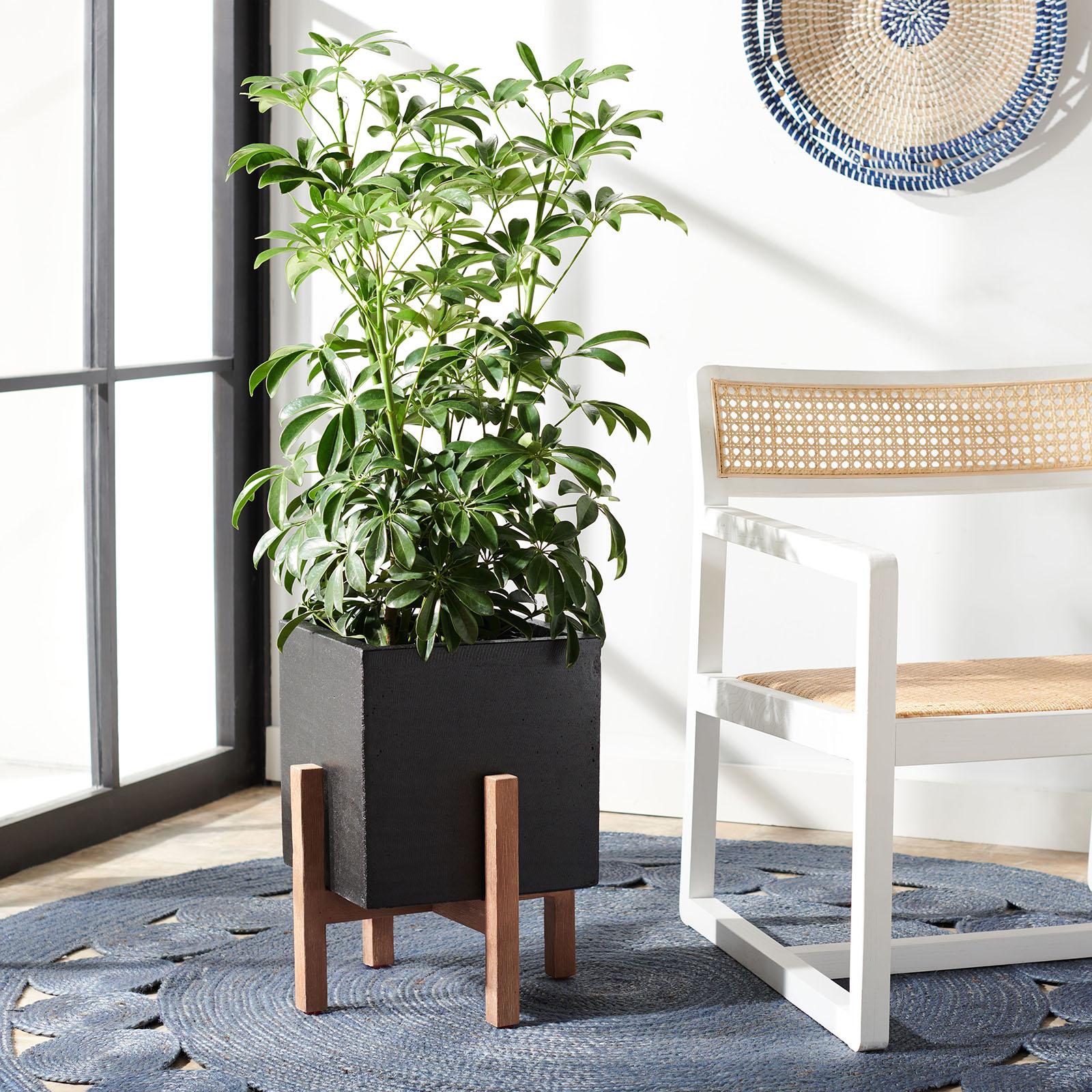 Borsla Planter