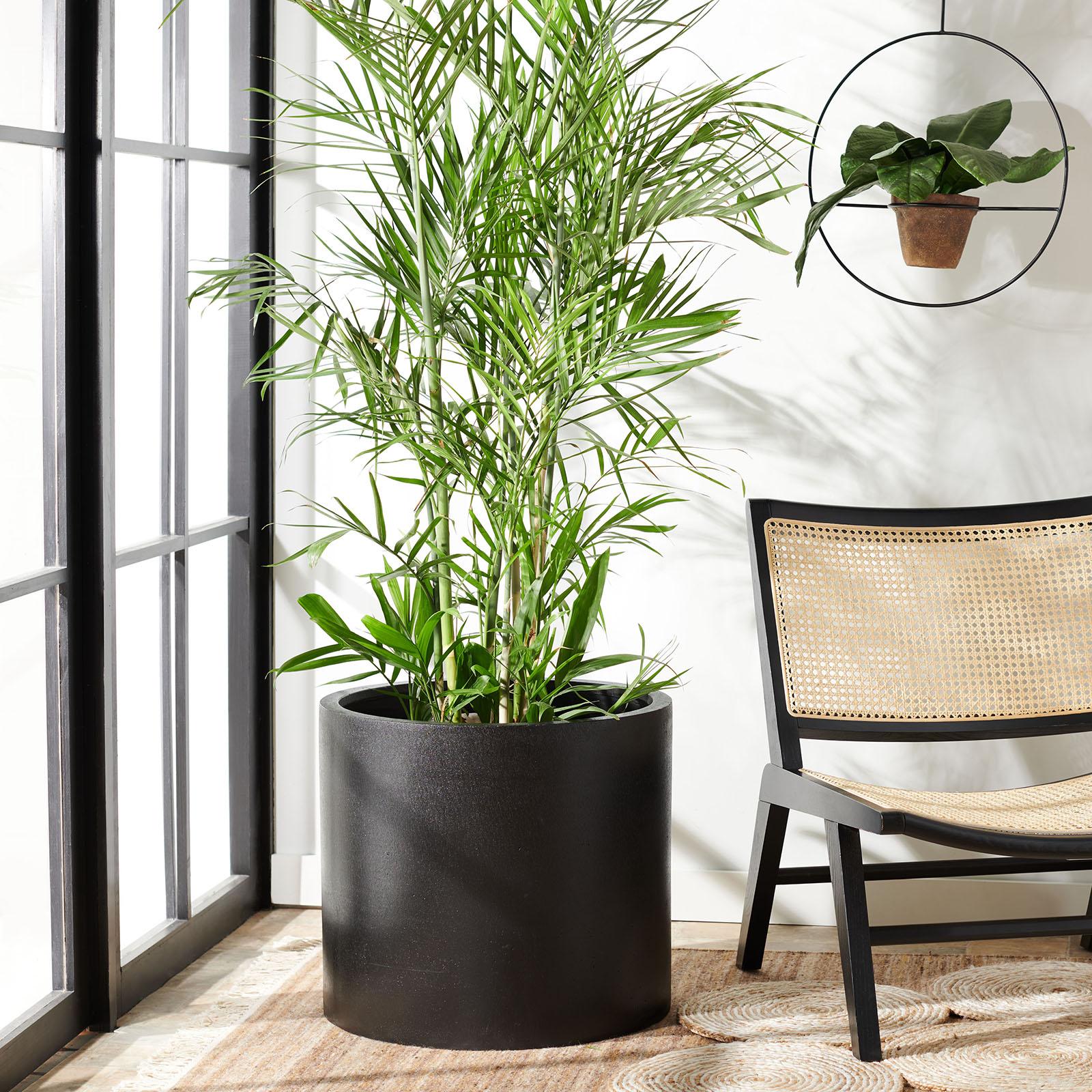 Alia Planter