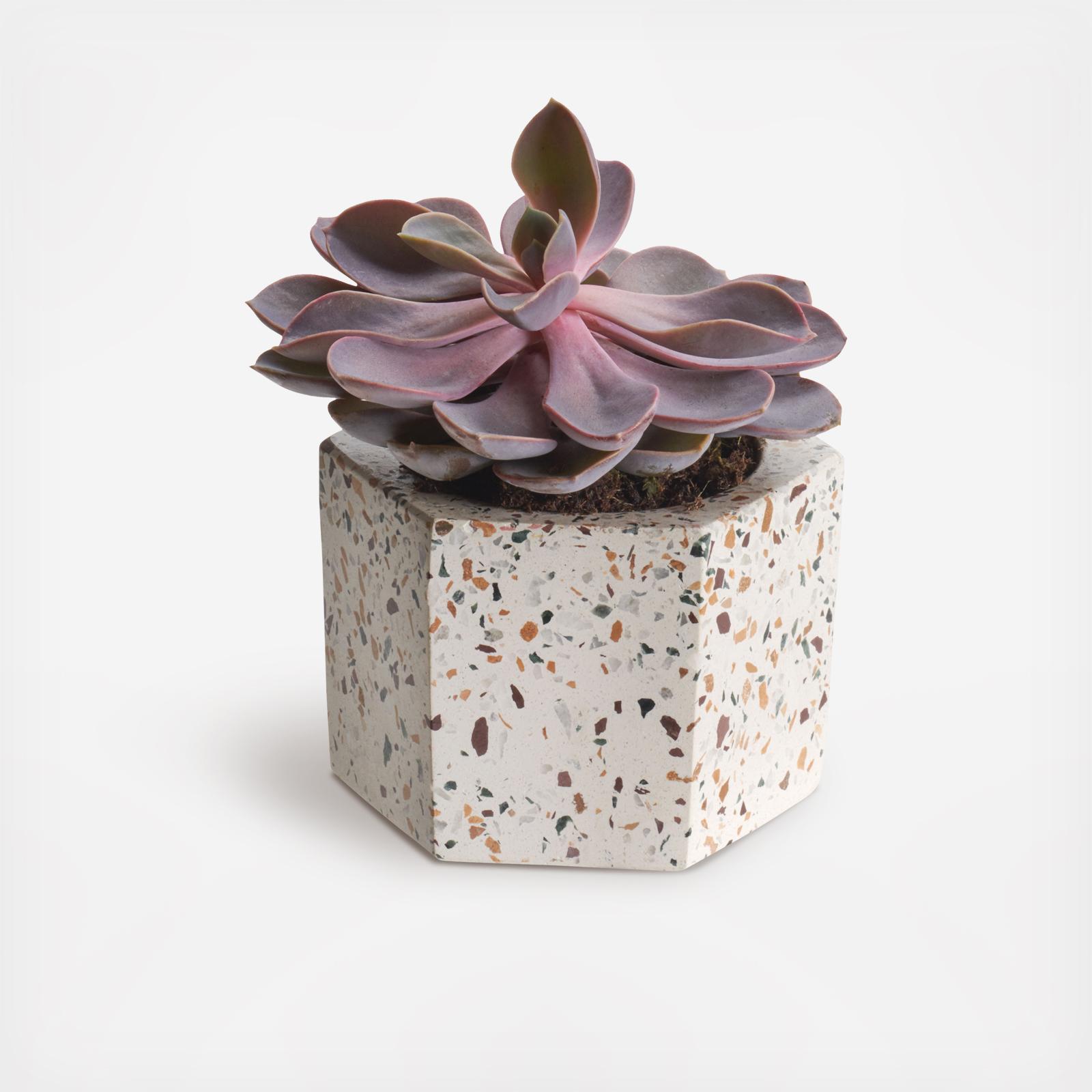 11407-terrazza-hex-holders-set-of-2-1.jpg