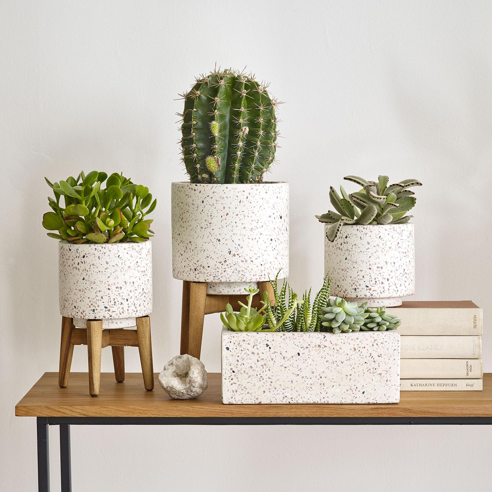 Terrazza Pot