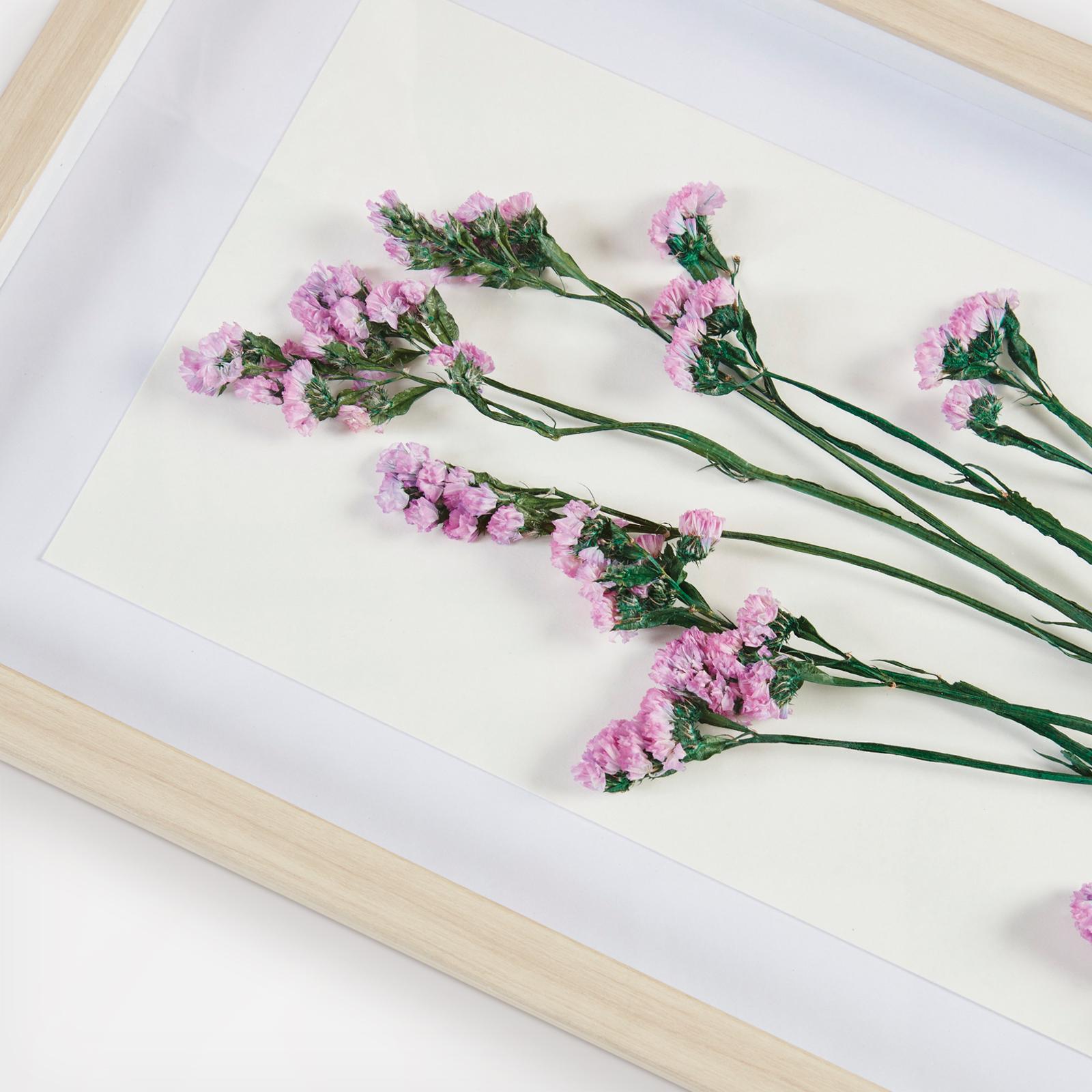 11693-2-piece-avant-garden-shadowbox-set-1.jpg