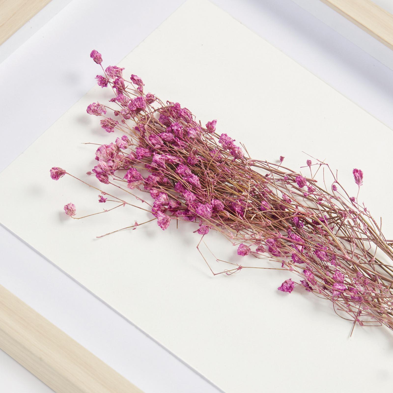 11693-2-piece-avant-garden-shadowbox-set-1.jpg