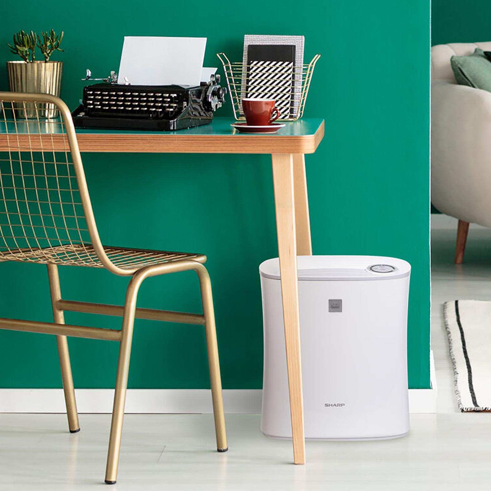 11859-true-hepa-air-purifier-1.jpg