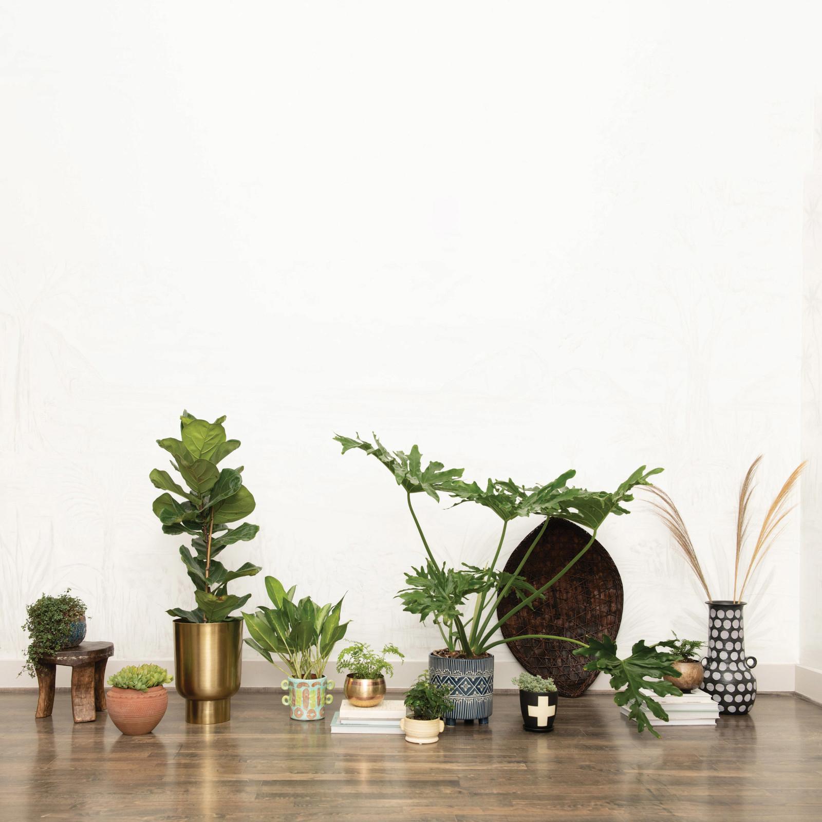 12486-debossed-stoneware-planter-1.jpg
