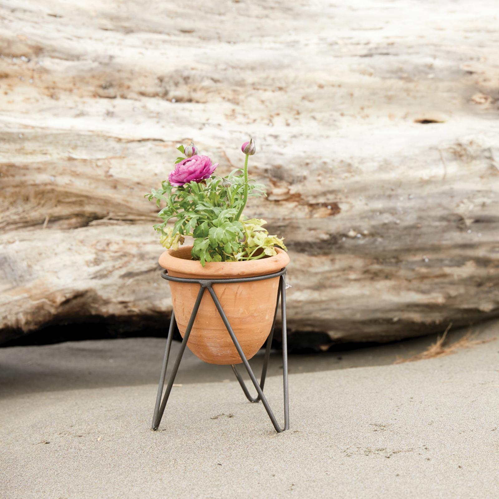 Terracotta Pot with Stand