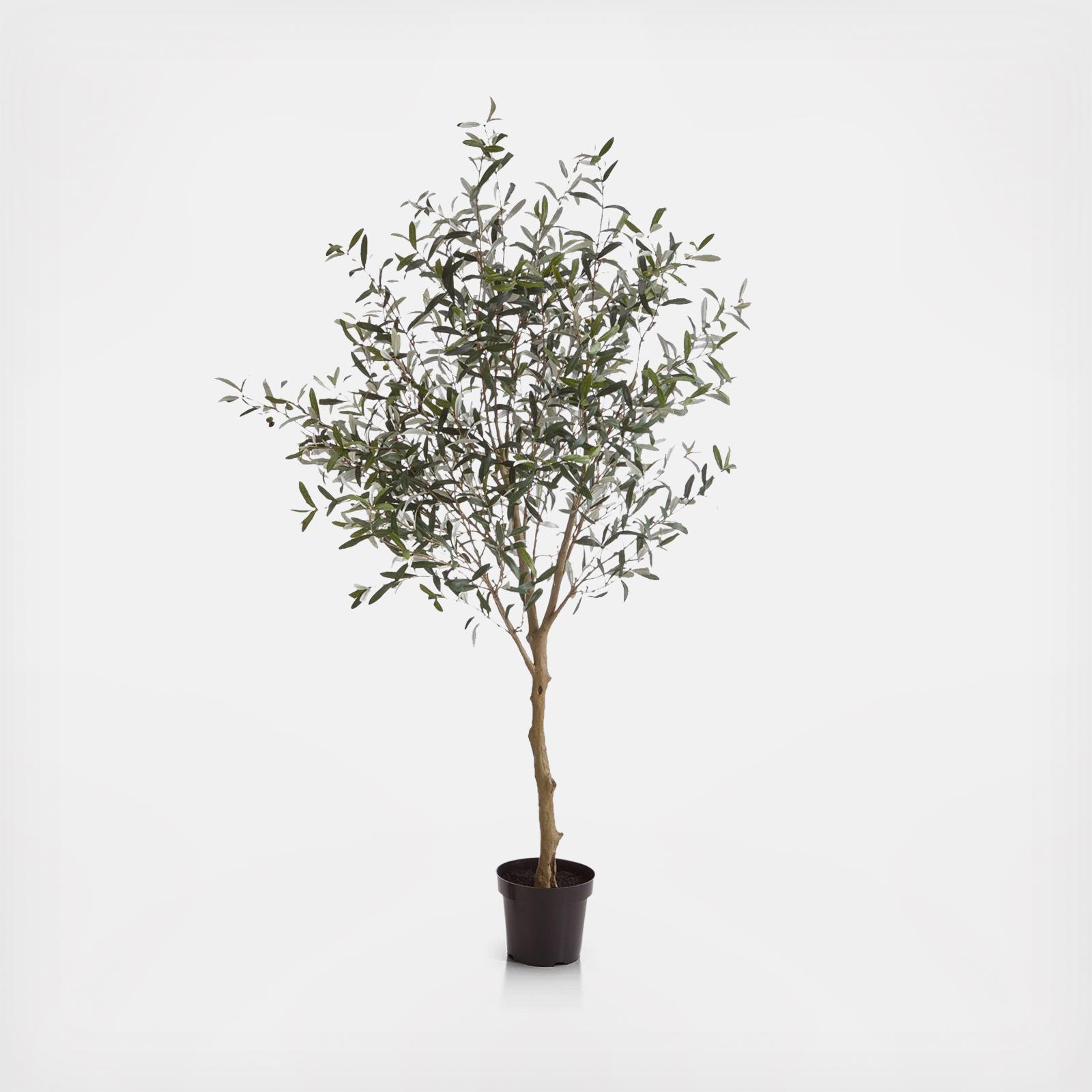 Potted Faux Olive Tree