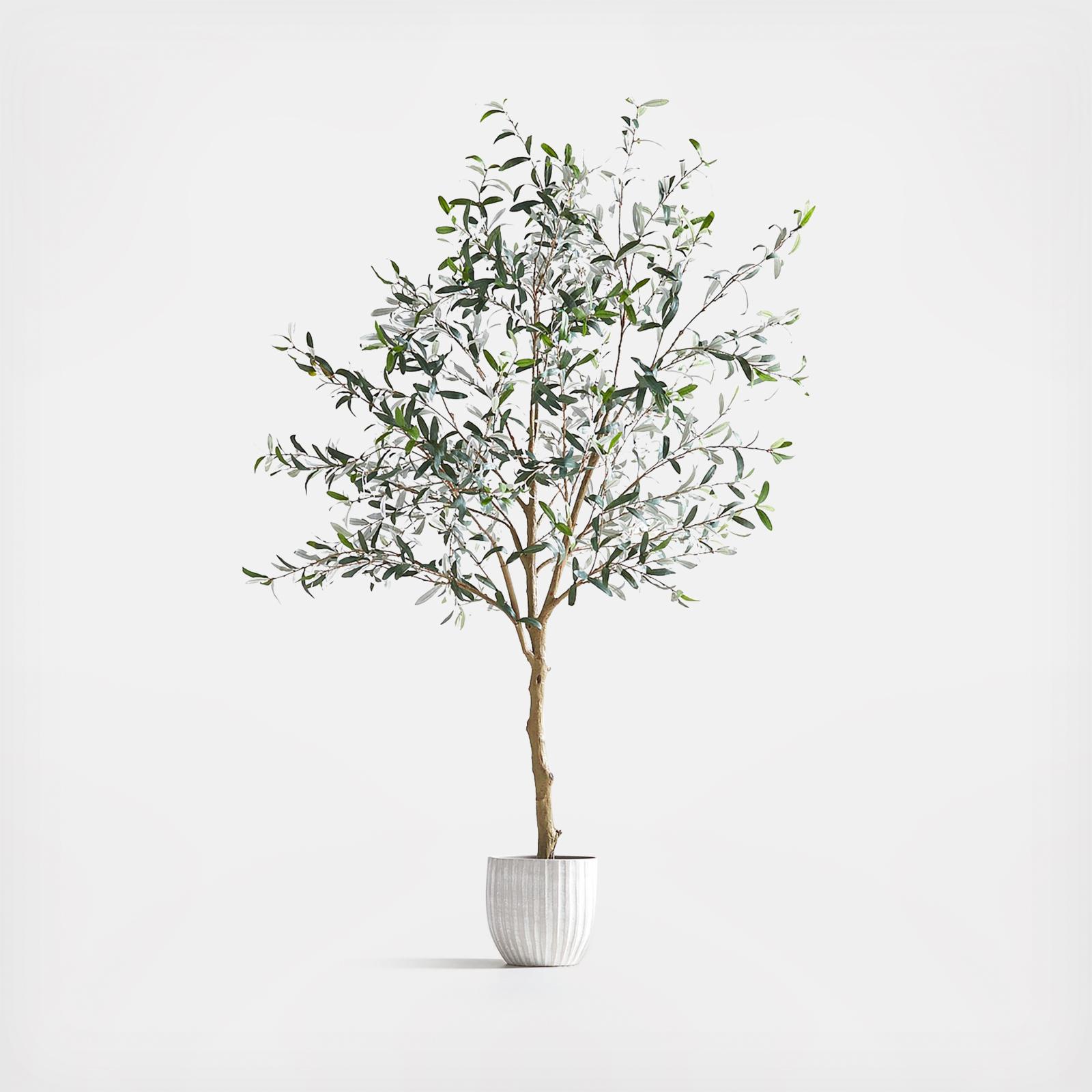 Potted Faux Olive Tree