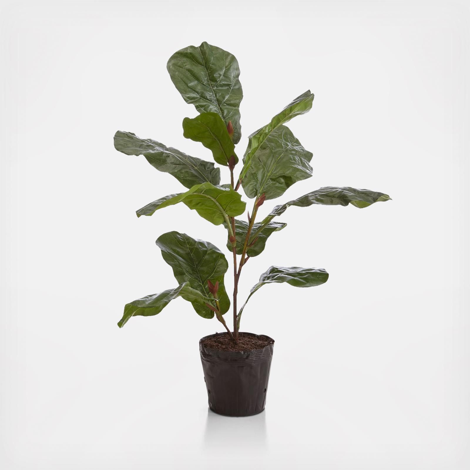 Artificial 3.5' Fiddle Leaf Fig Tree