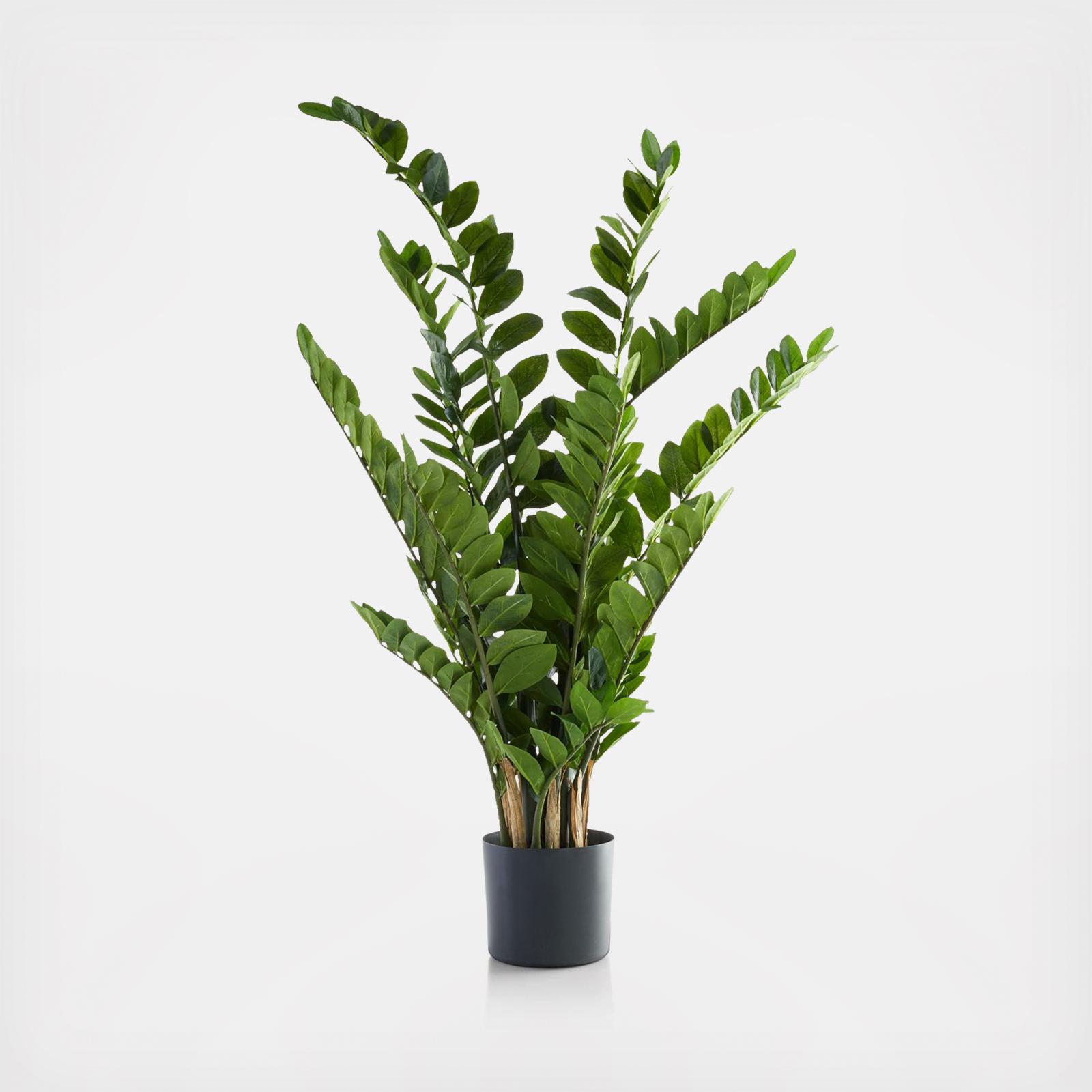 Artificial Potted ZZ Plant