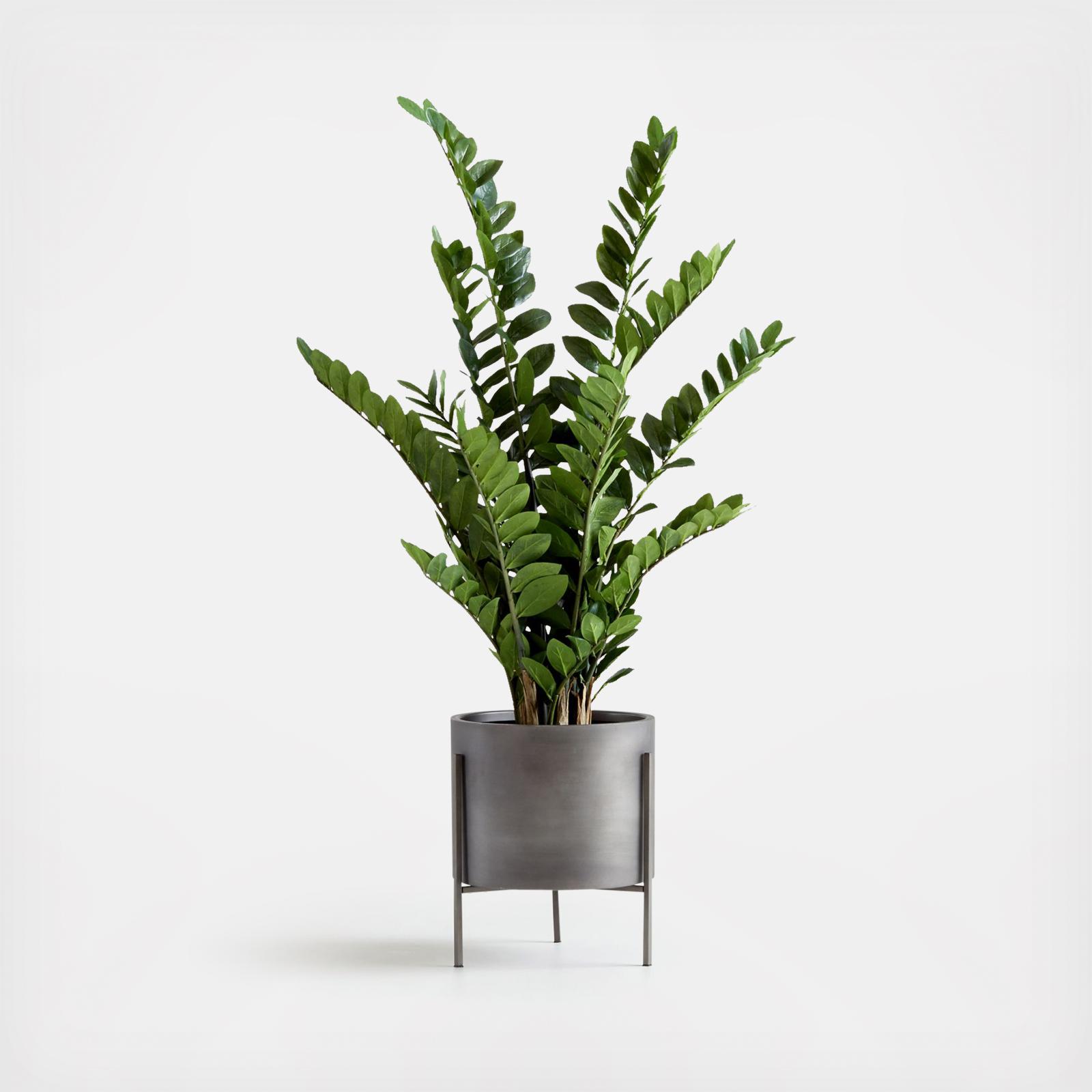 Artificial Potted ZZ Plant
