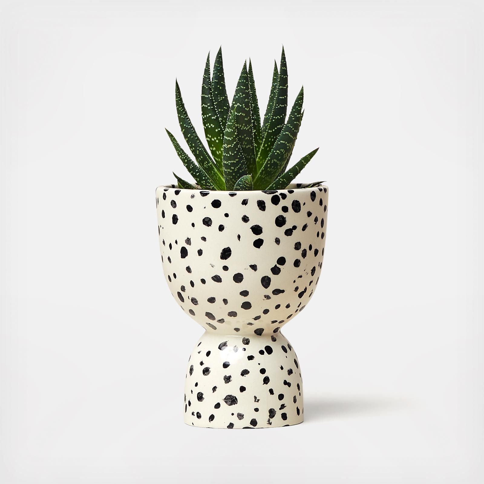 Speckled Stacked Planter