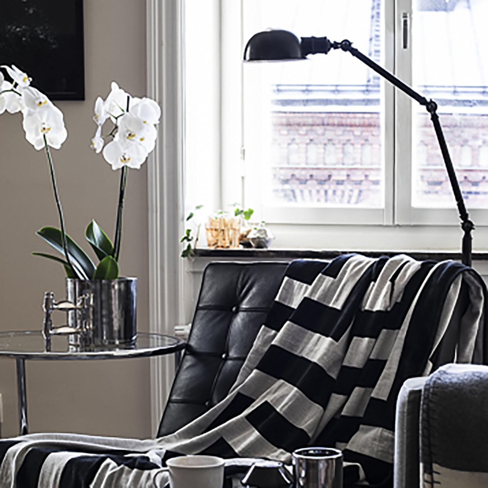 Deco Throw