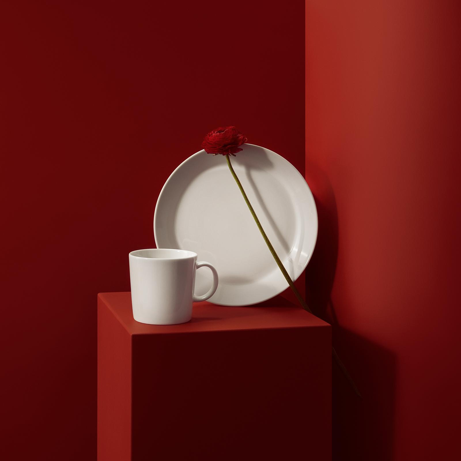 1396-teema-dinner-plate-1.jpg