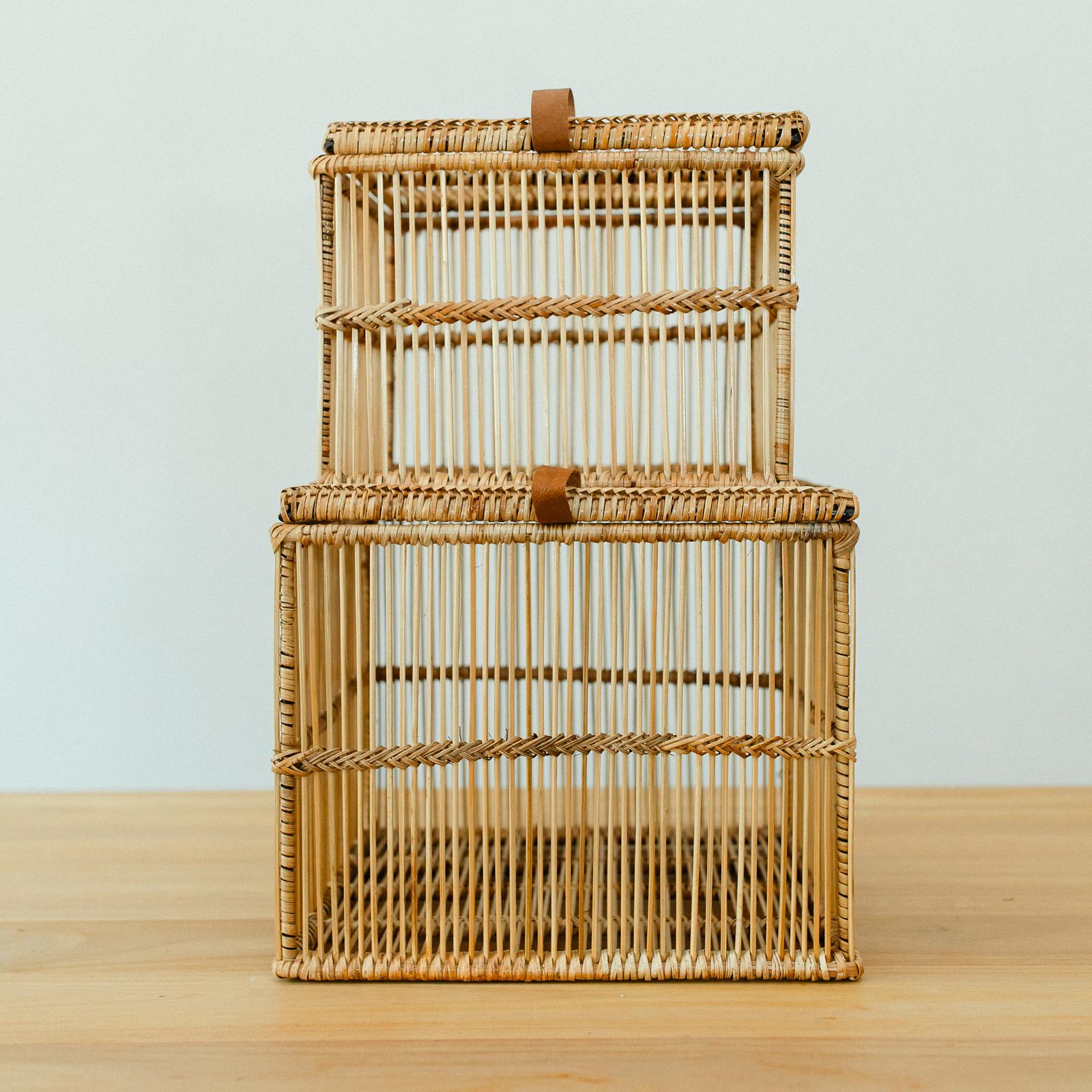 14038-irawaddy-decorative-basket-set-of-2-1.jpg