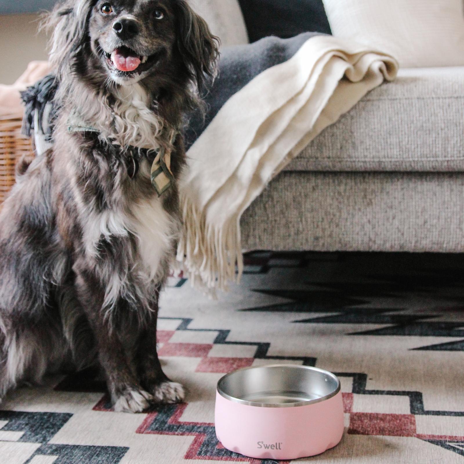 14174-32-oz-dog-bowl-1.jpg