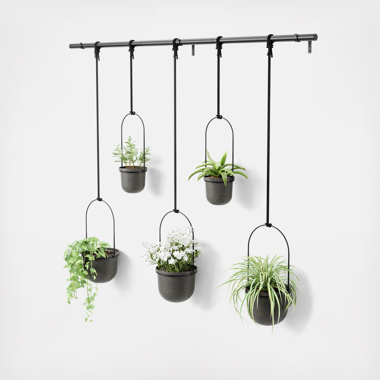 Triflora Hanging Planter, Set of 5