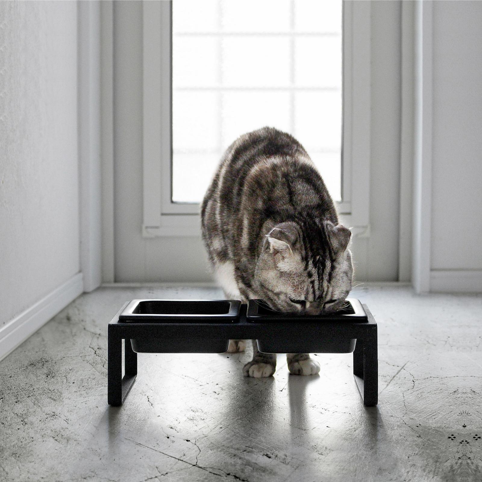 Tower Small Pet Food Bowl with Tall Stand
