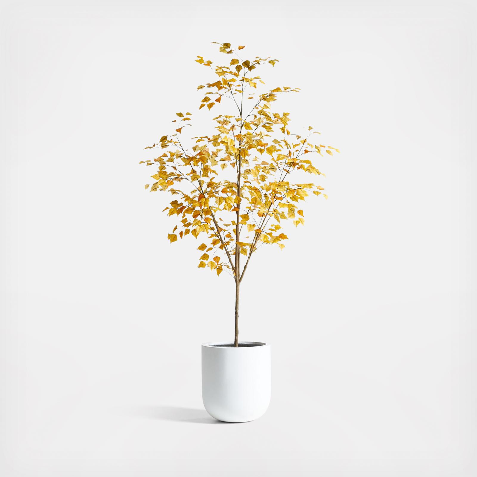 Potted Faux Golden Leaf Tree