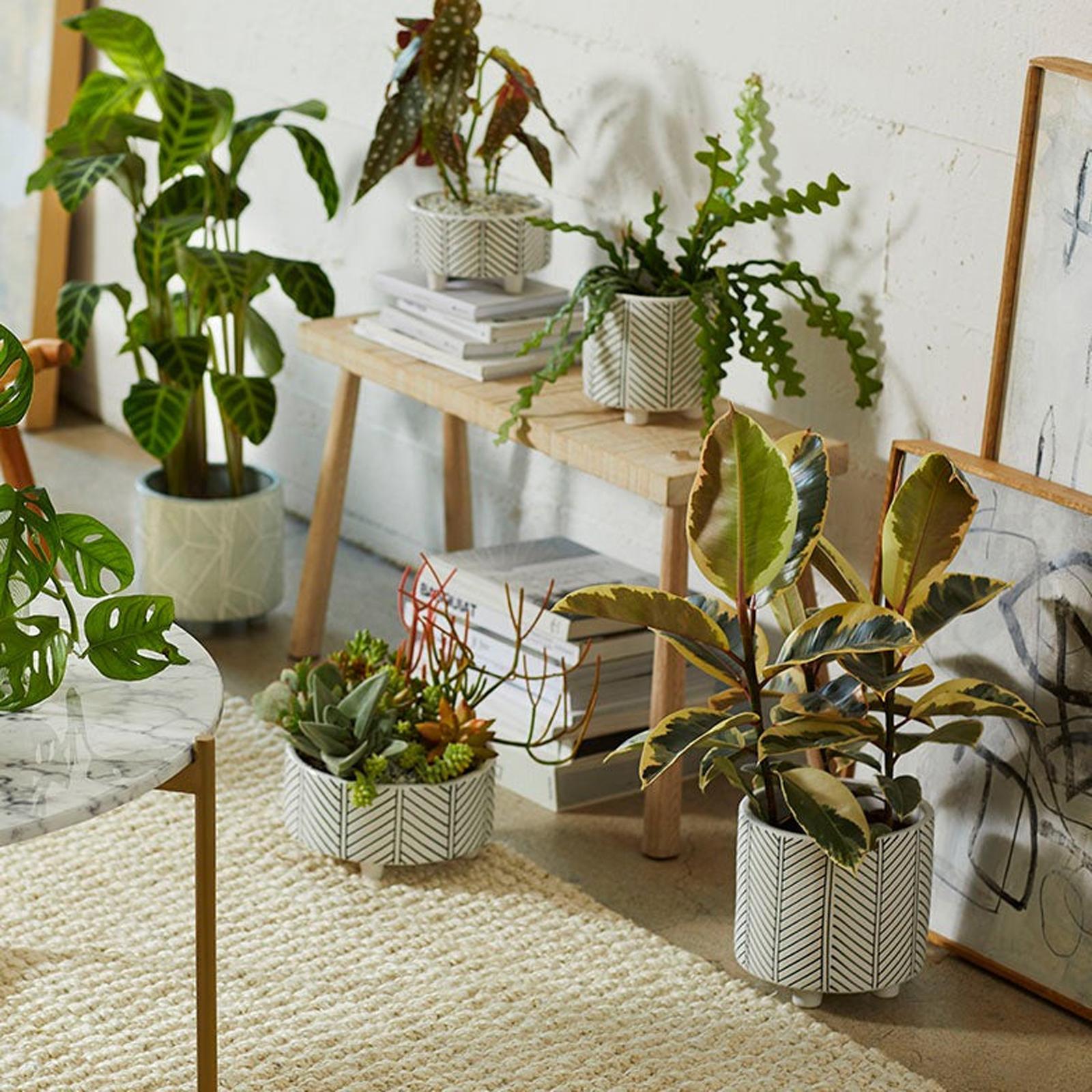 Geometric Large Planter