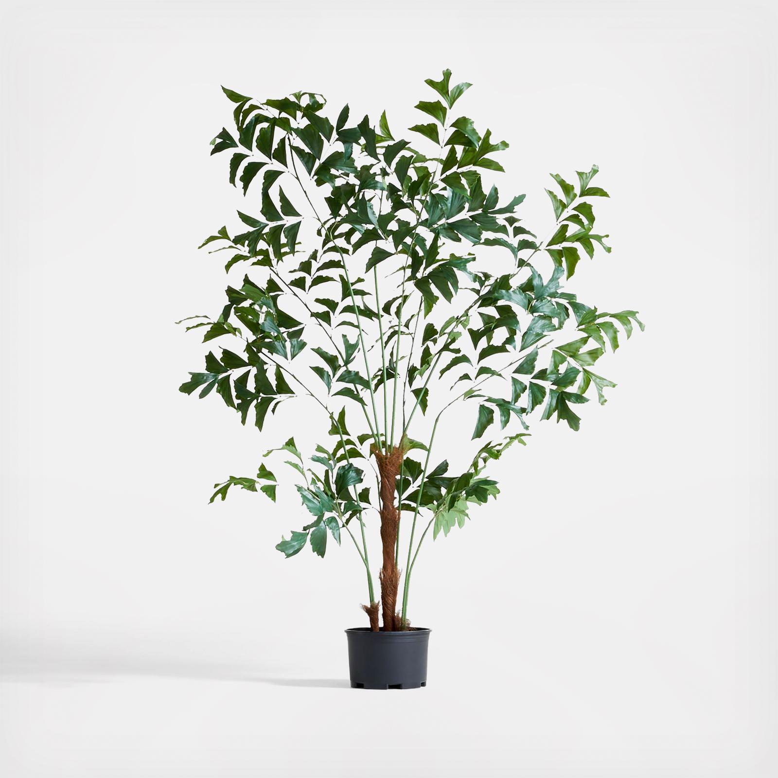 Potted Faux Fishtail Palm Tree