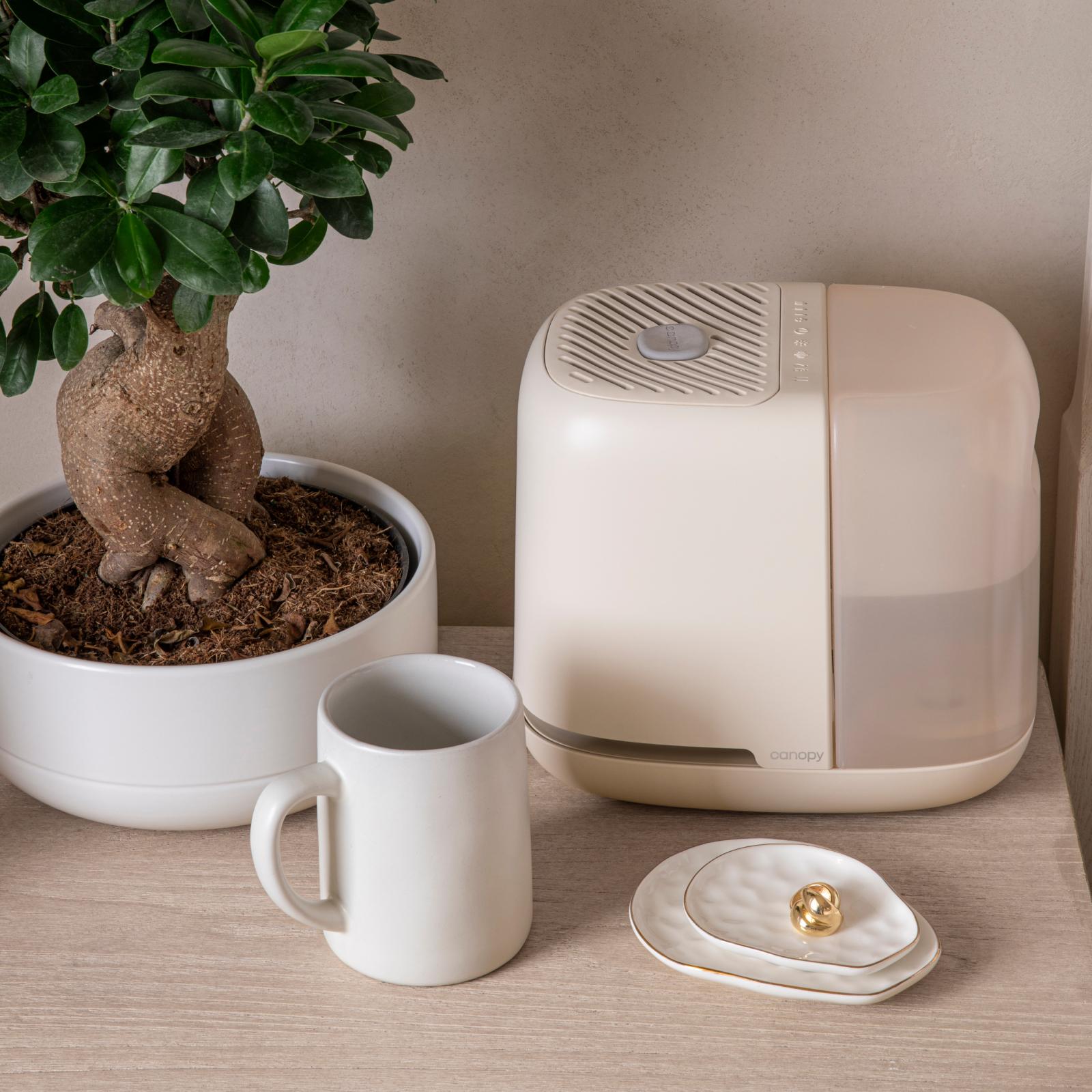 17880-humidifier-1.jpg