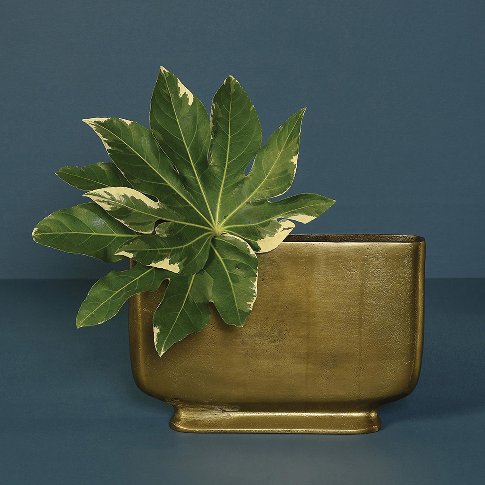 Cecilia Vase