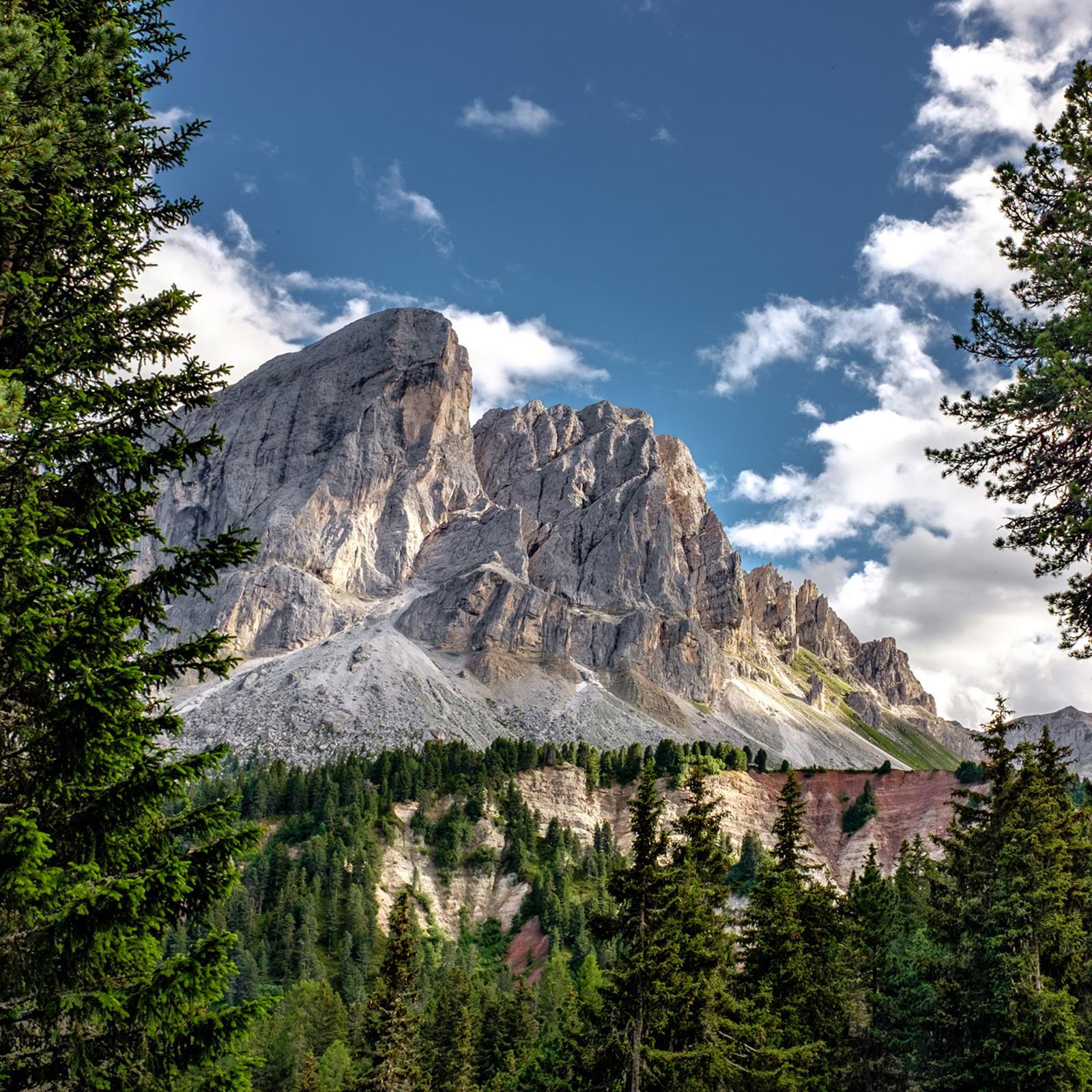 2 Tickets for Explore Mt. Rainier Tour - Seattle