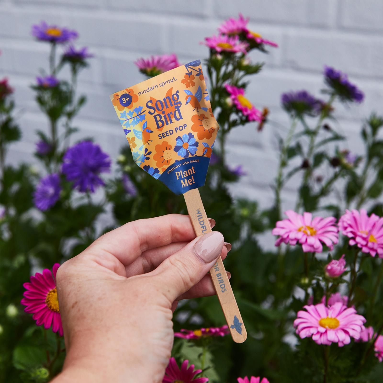18042-pollinator-seed-pop-wedding-favor-set-of-6-1.jpg