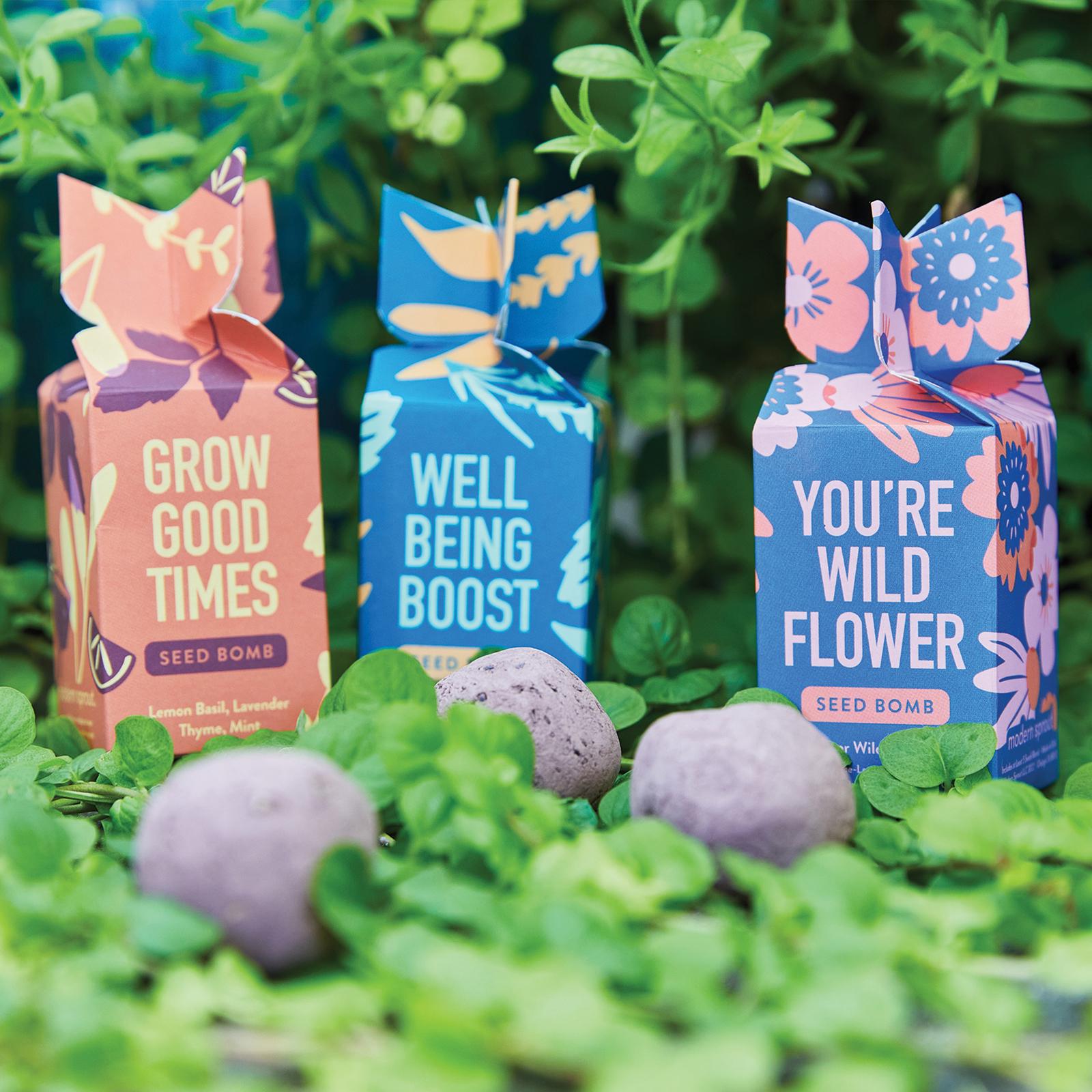 Seed Bomb 6-Piece Variety Favor Pack
