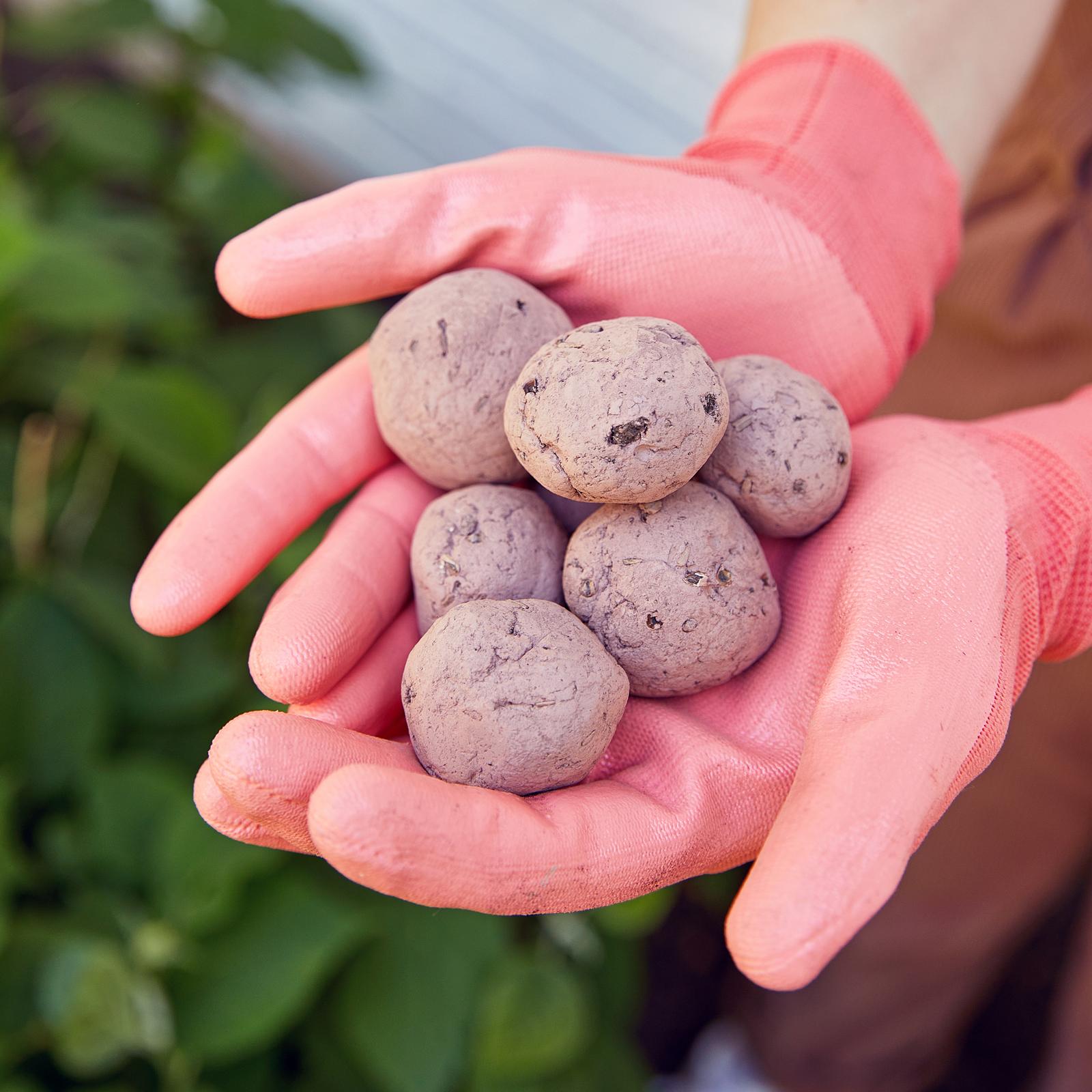18049-bright-side-seed-ball-wedding-favor-set-of-3-1.jpg
