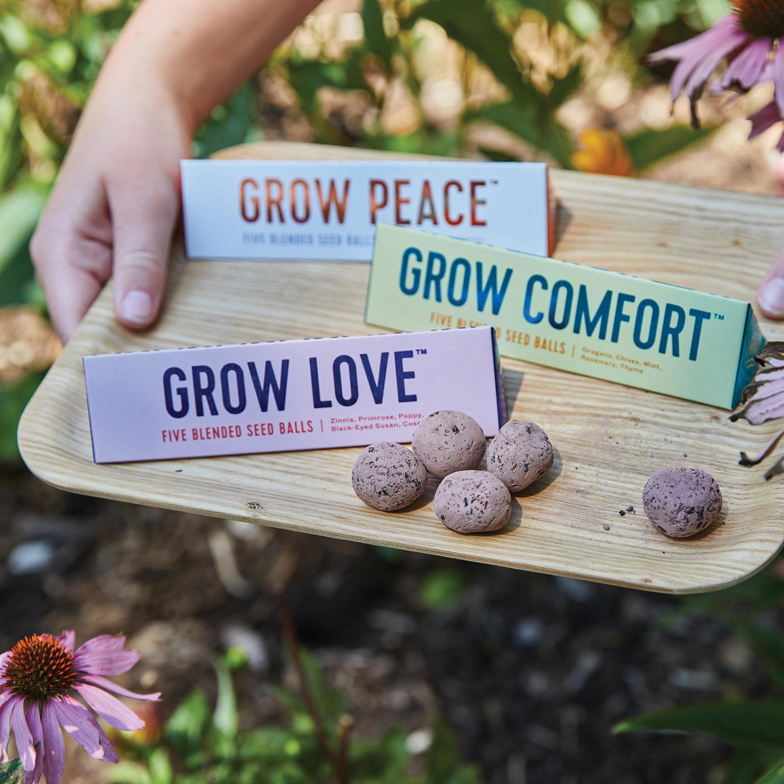 18049-bright-side-seed-ball-wedding-favor-set-of-3-1.jpg