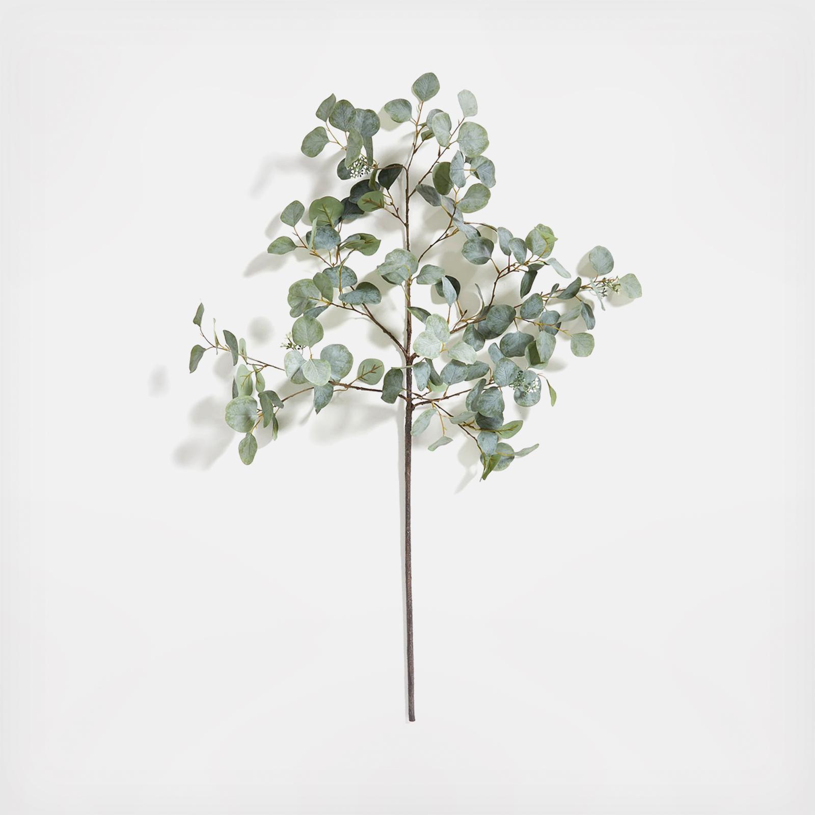 Faux Silver Dollar Eucalyptus Stem