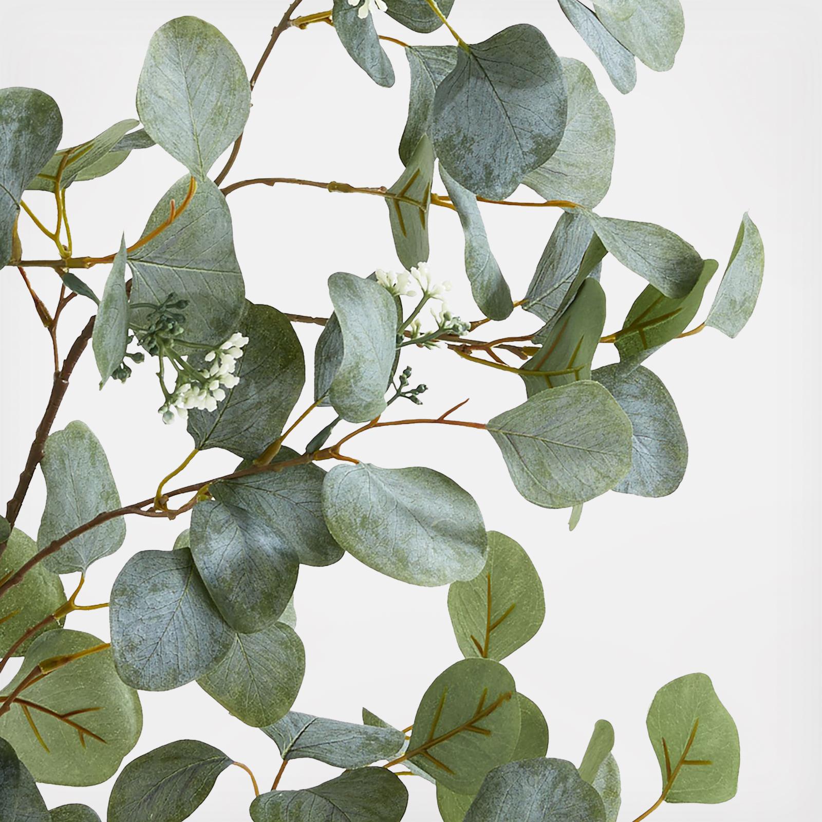 18199-faux-silver-dollar-eucalyptus-stem-1.jpg