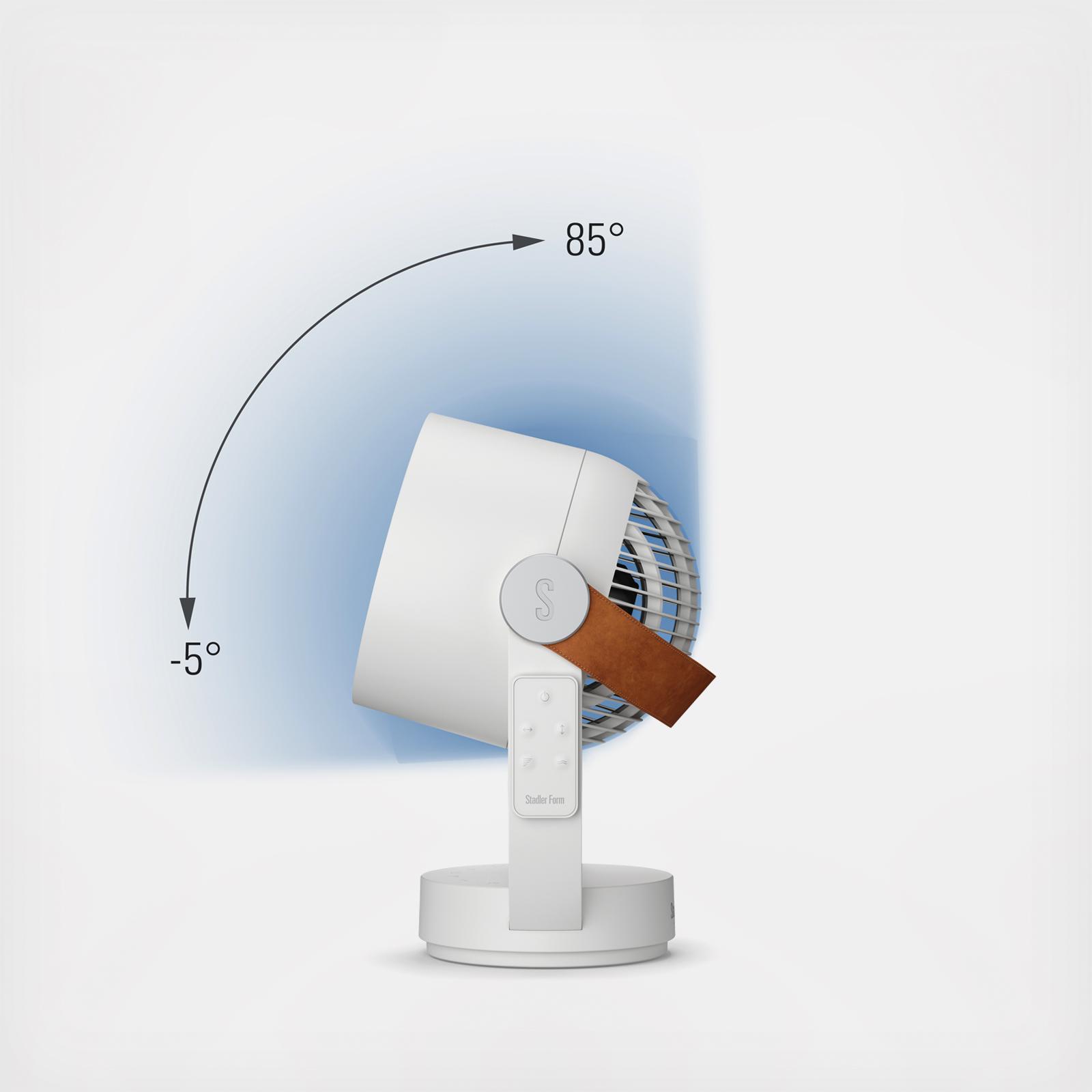 18914-leo-fan-1.jpg