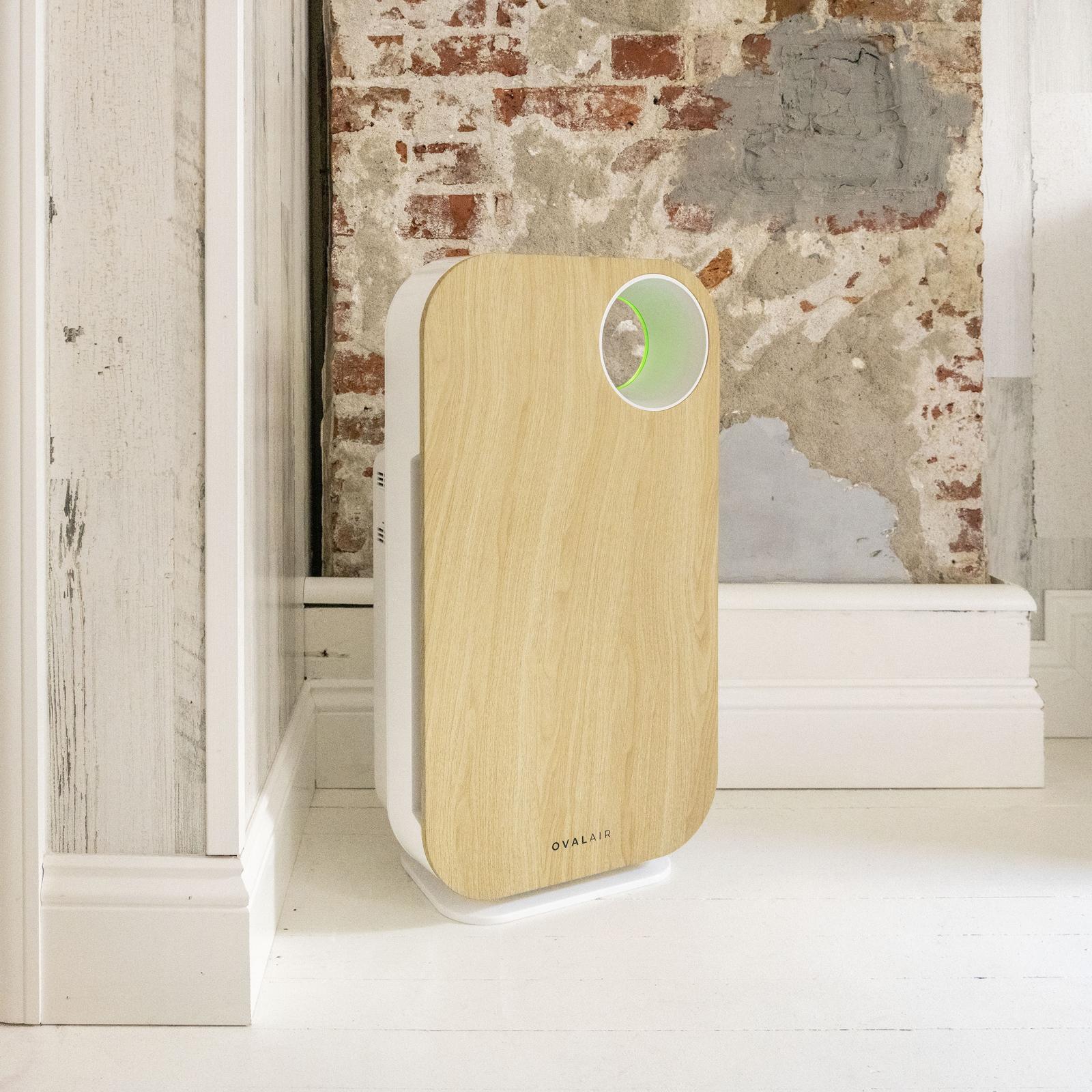 19179-3-stage-h13-true-hepa-5-in-1-air-purifier-for-room-1.jpg
