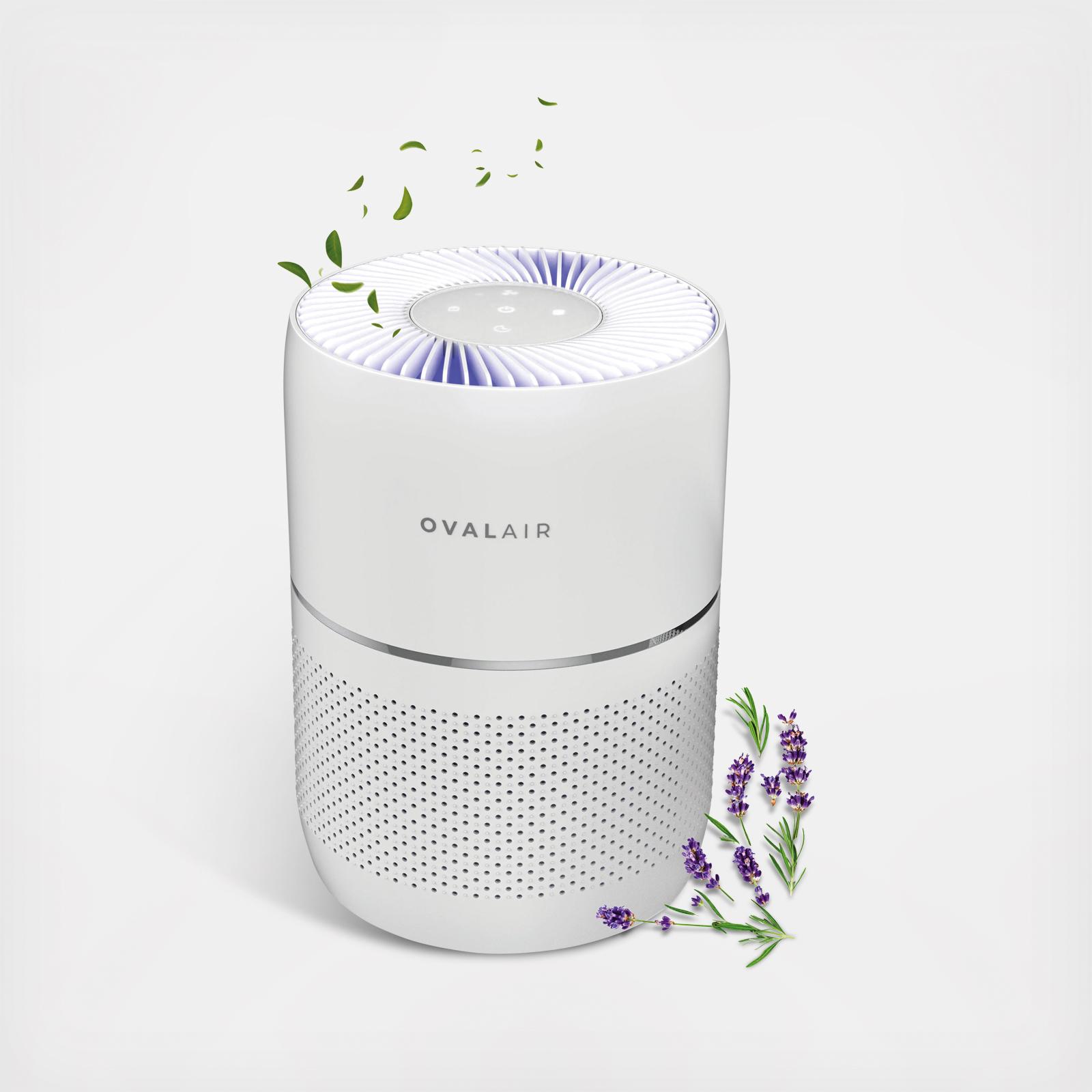 3-Stage H13 Smart True HEPA Desk Air Purifier for Rooms