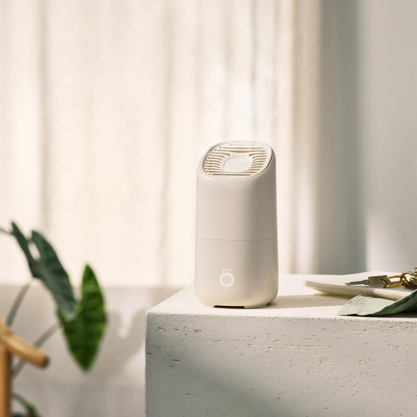 19442-portable-humidifier-1.jpg