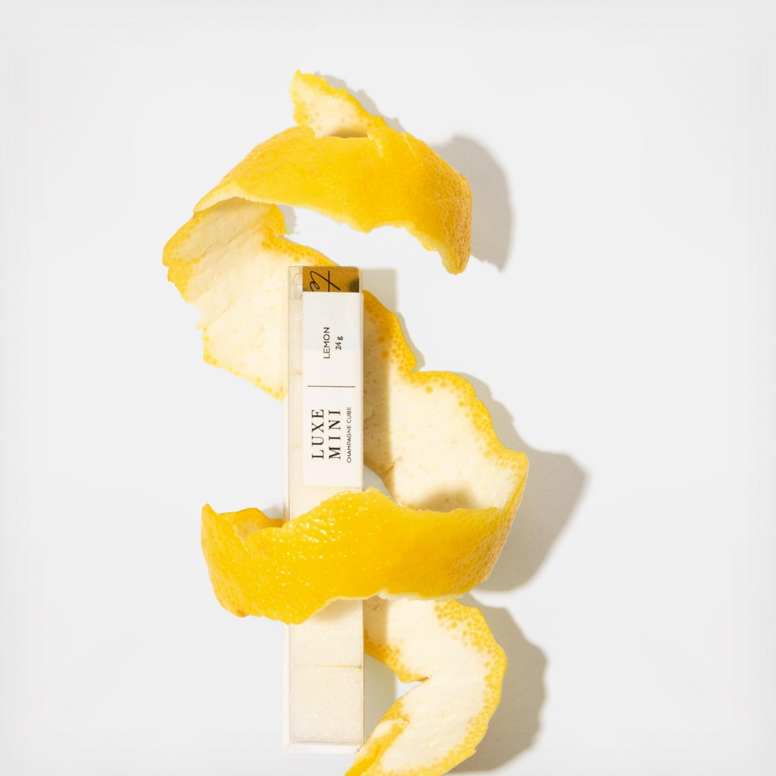 19579-lemon-mini-mixlology-cube-set-of-4-1.jpg