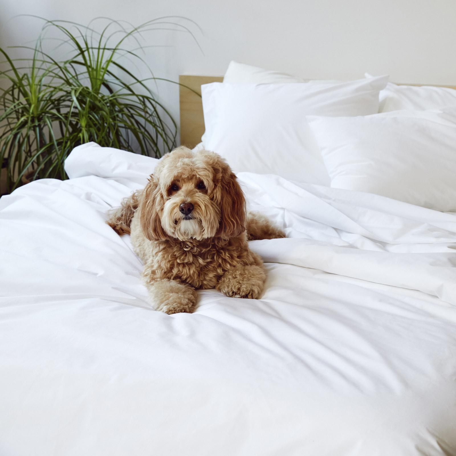 1962-luxe-sateen-duvet-cover-1.jpg