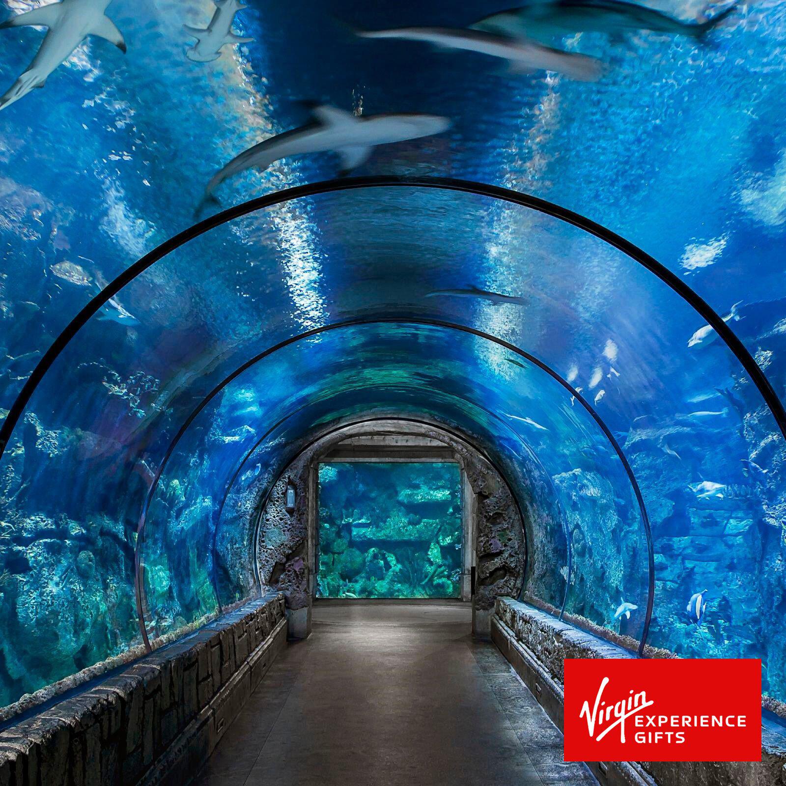 4 Attractions Go Las Vegas Explorer Pass for 2 - Las Vegas