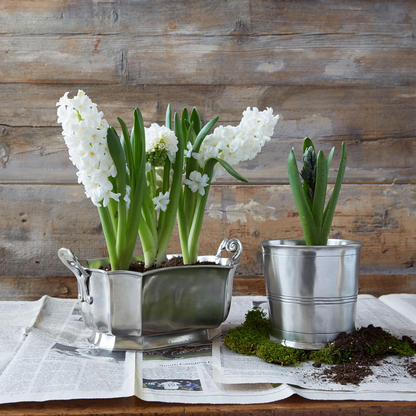 2570-vaso-1.jpg