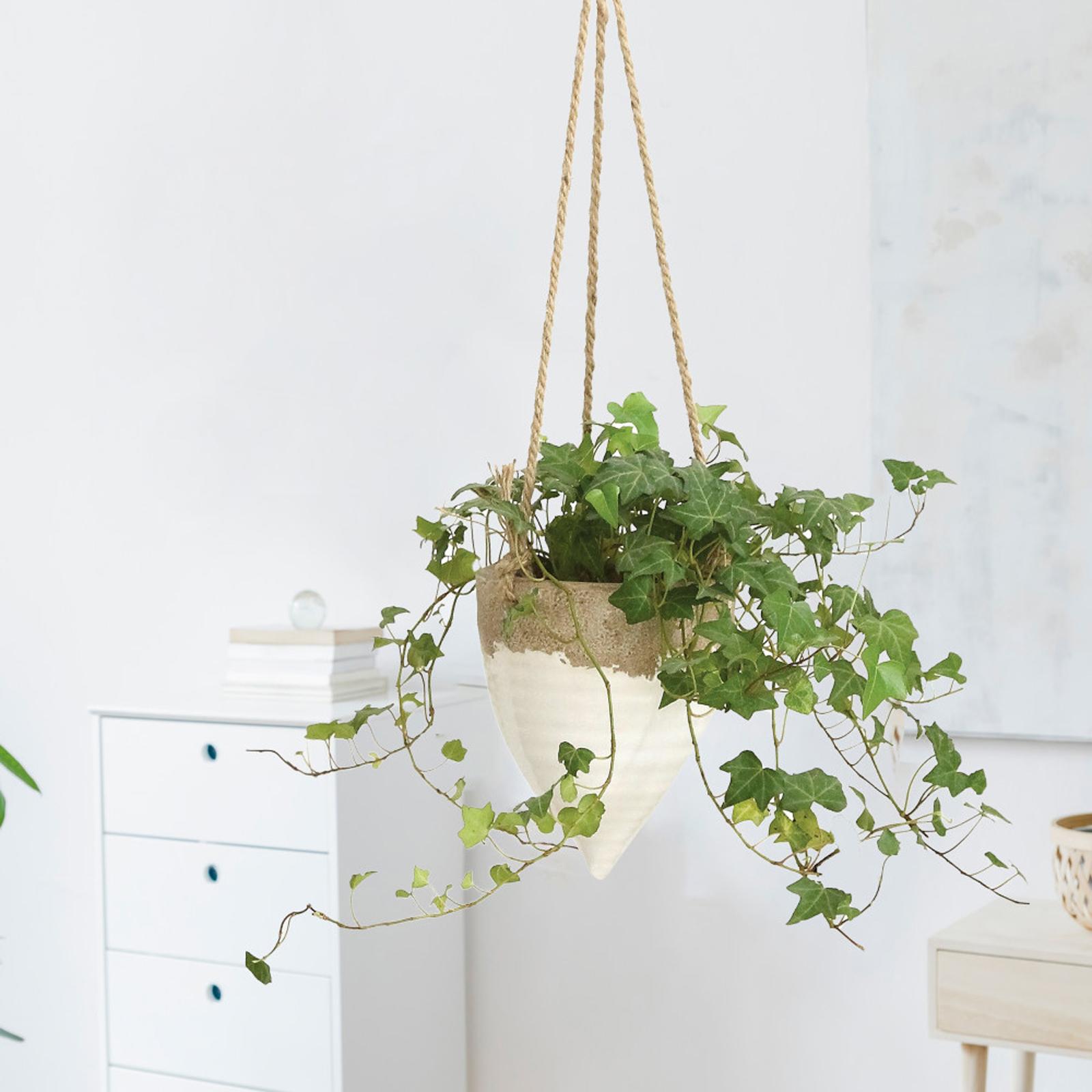 Botanist Hanging Planter with Jute Rope