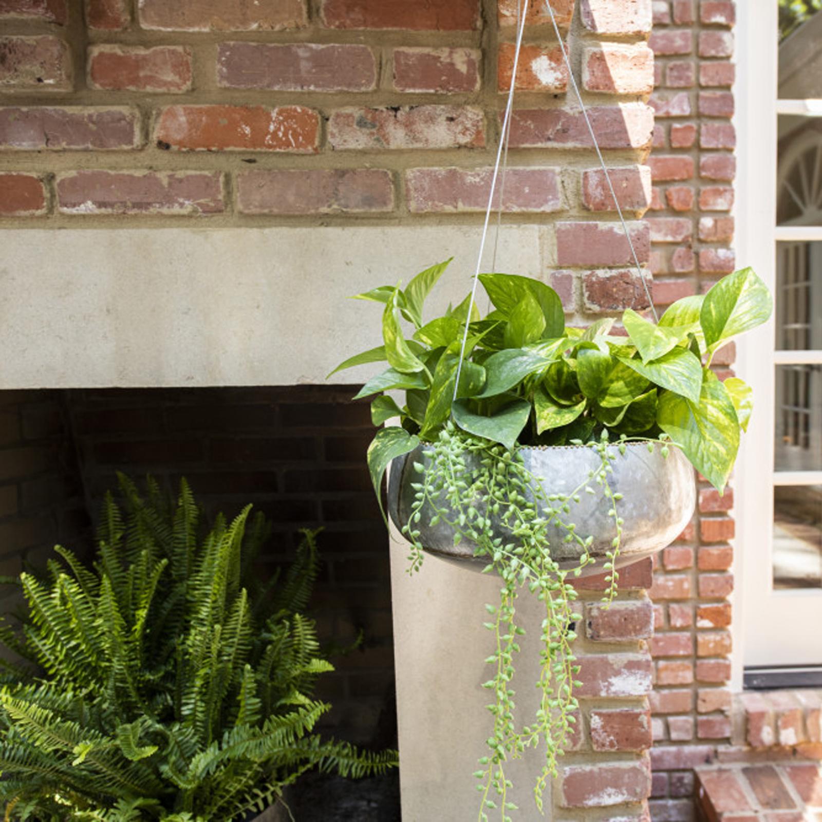 Havana Galvanized Iron Hanging Planter