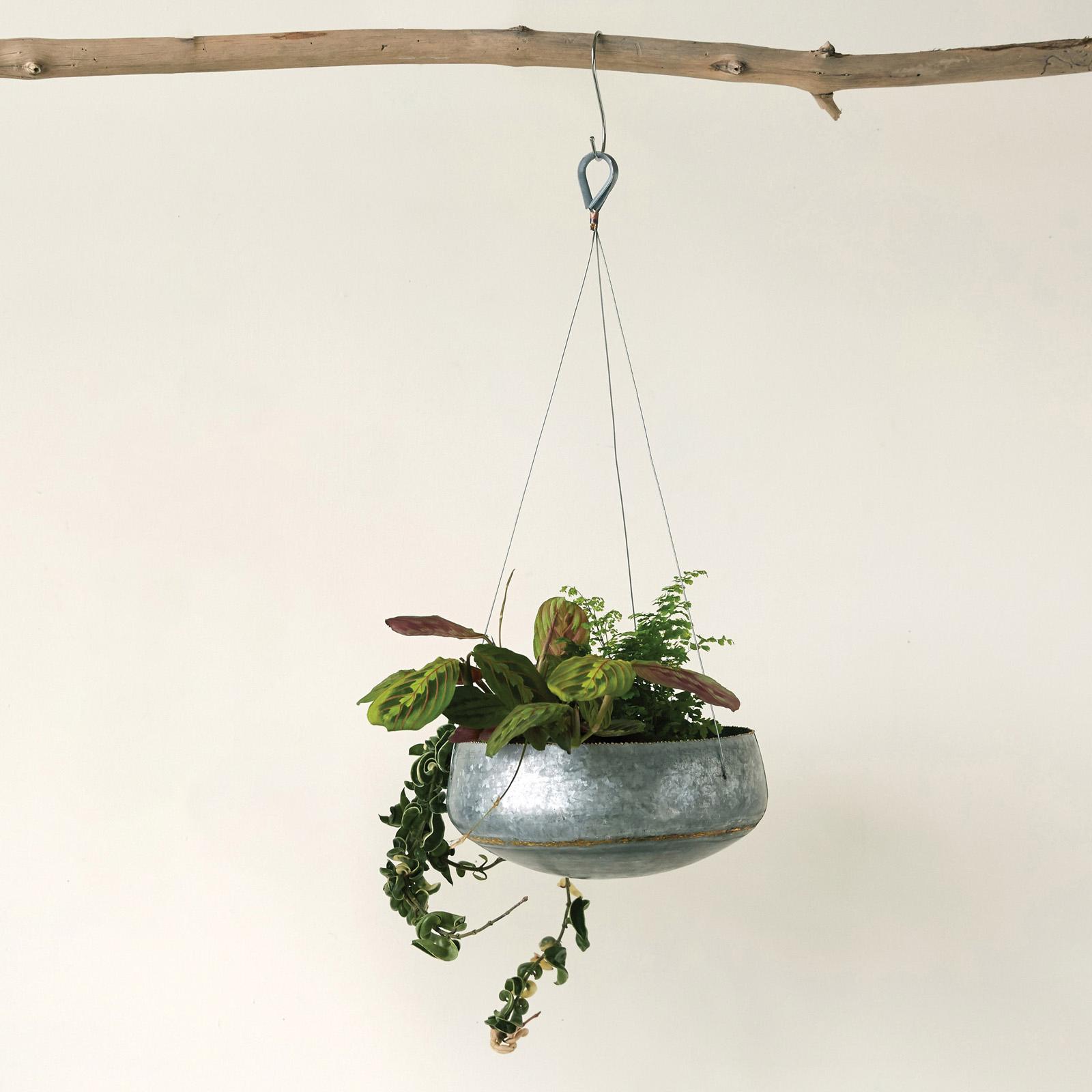 3681-havana-galvanized-iron-hanging-planter-1.jpg