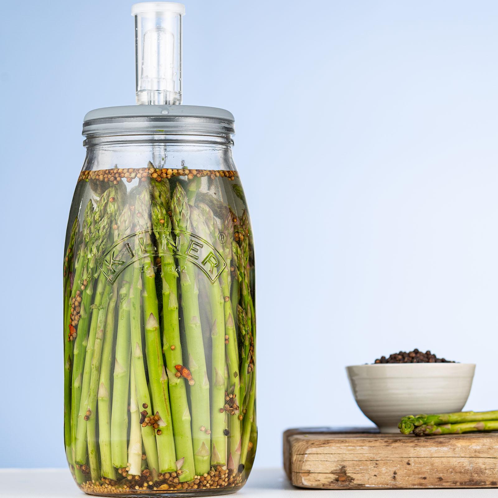 3806-fermentation-set-1.jpg