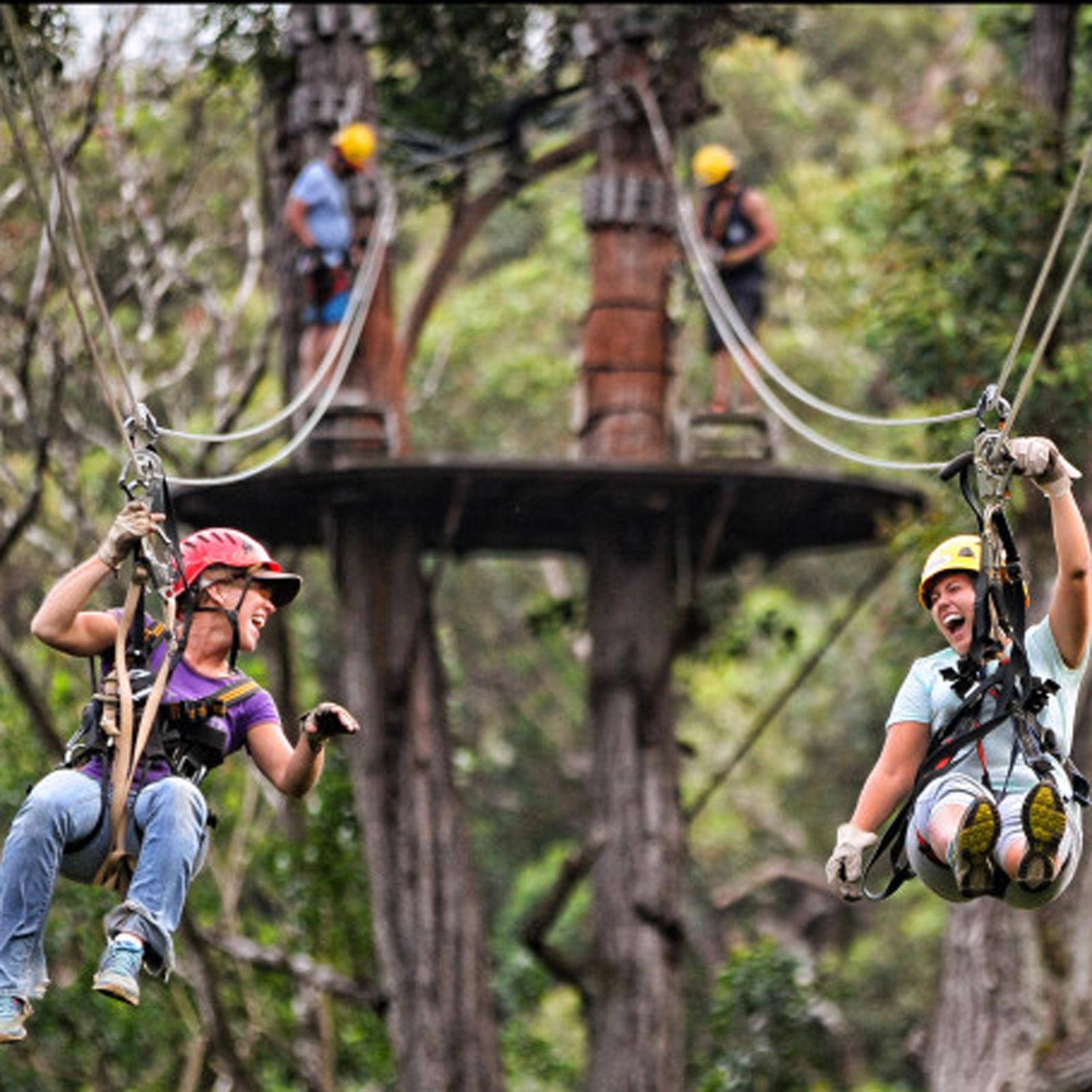 Kohala Zipline Adventure for 2 - Hawi, HI
