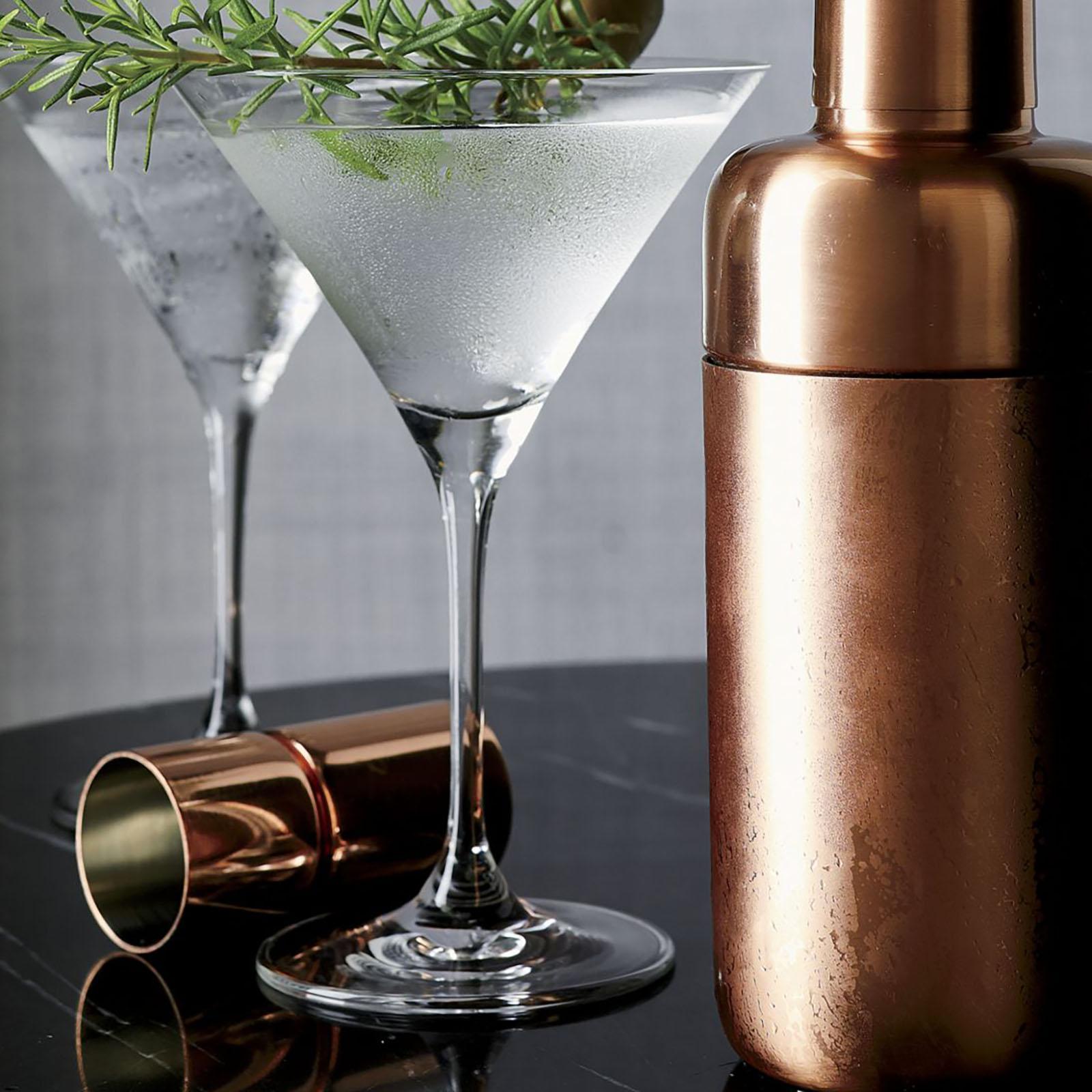 5751-aspen-martini-glass-set-of-4-1.jpg