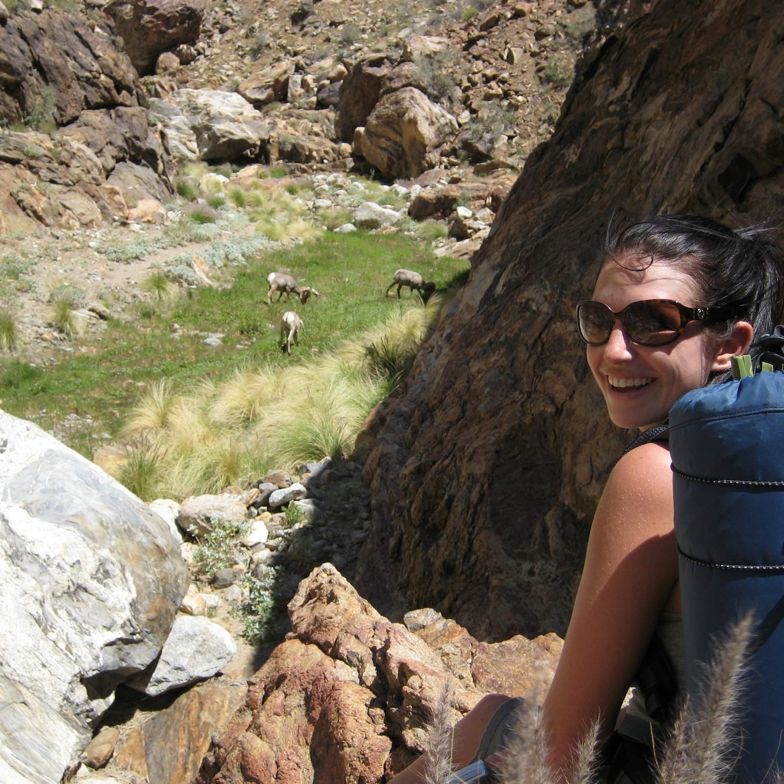 Rock Climbing Workshop for 2 - San Francisco